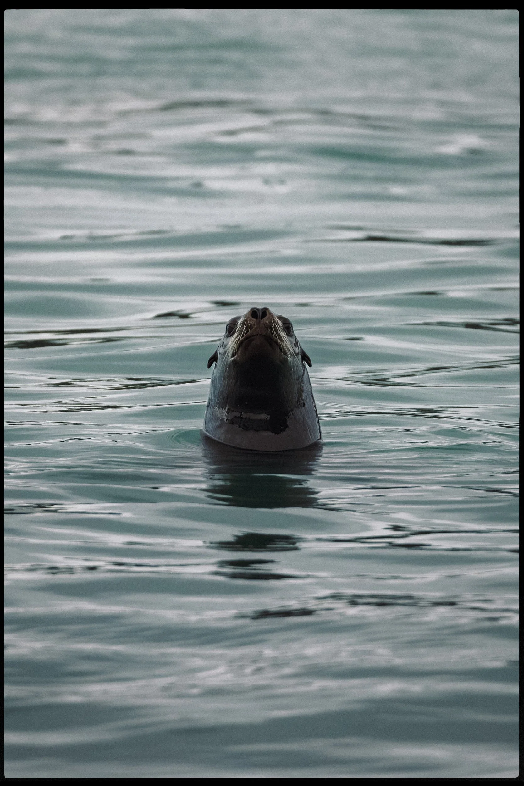 RFerand_20250311_R5_0396-CR3_dxo-Nanoose Bay-HD.jpg