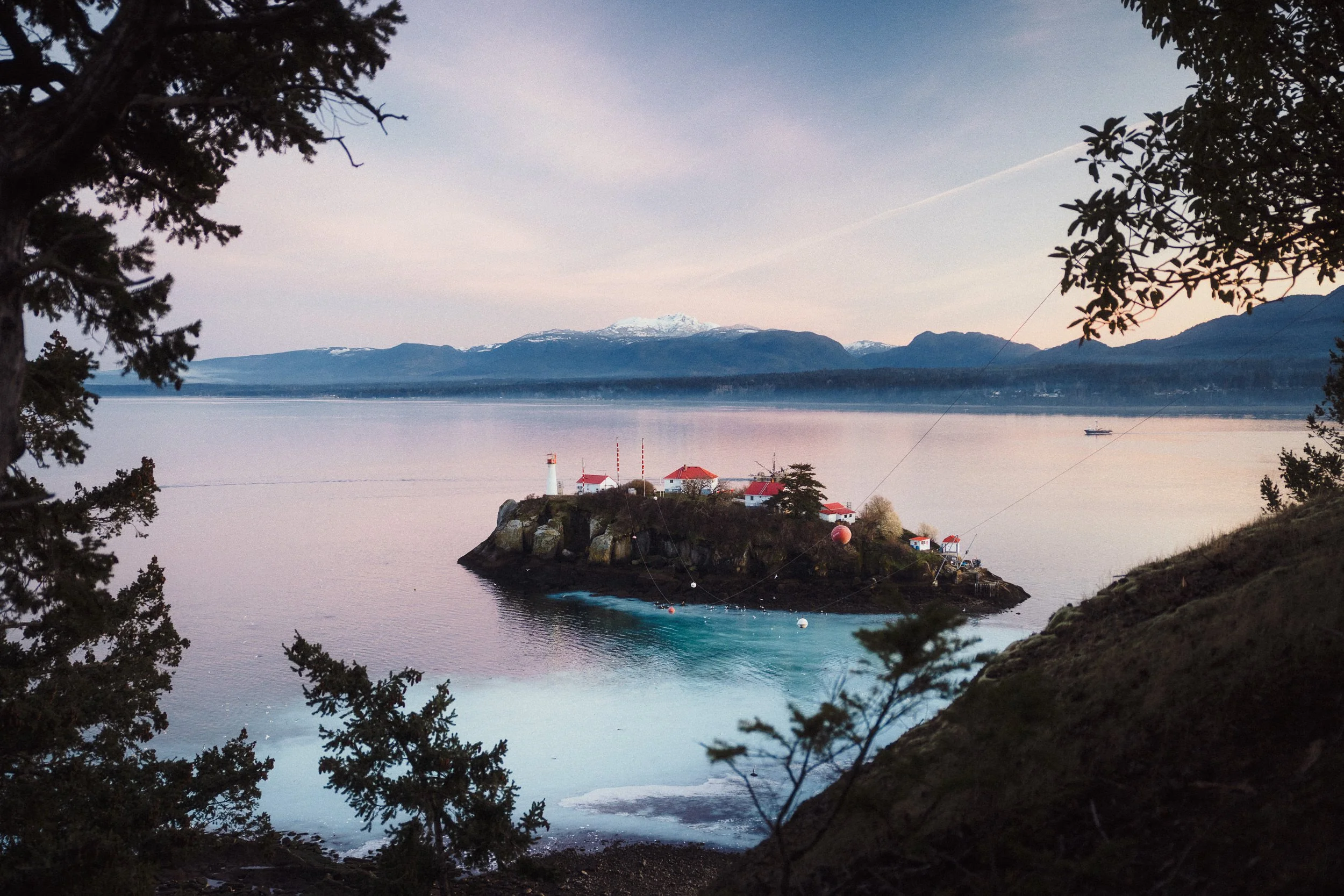 RFerand_20250306_R5_7671_Denman Island_SD_WEB.jpg