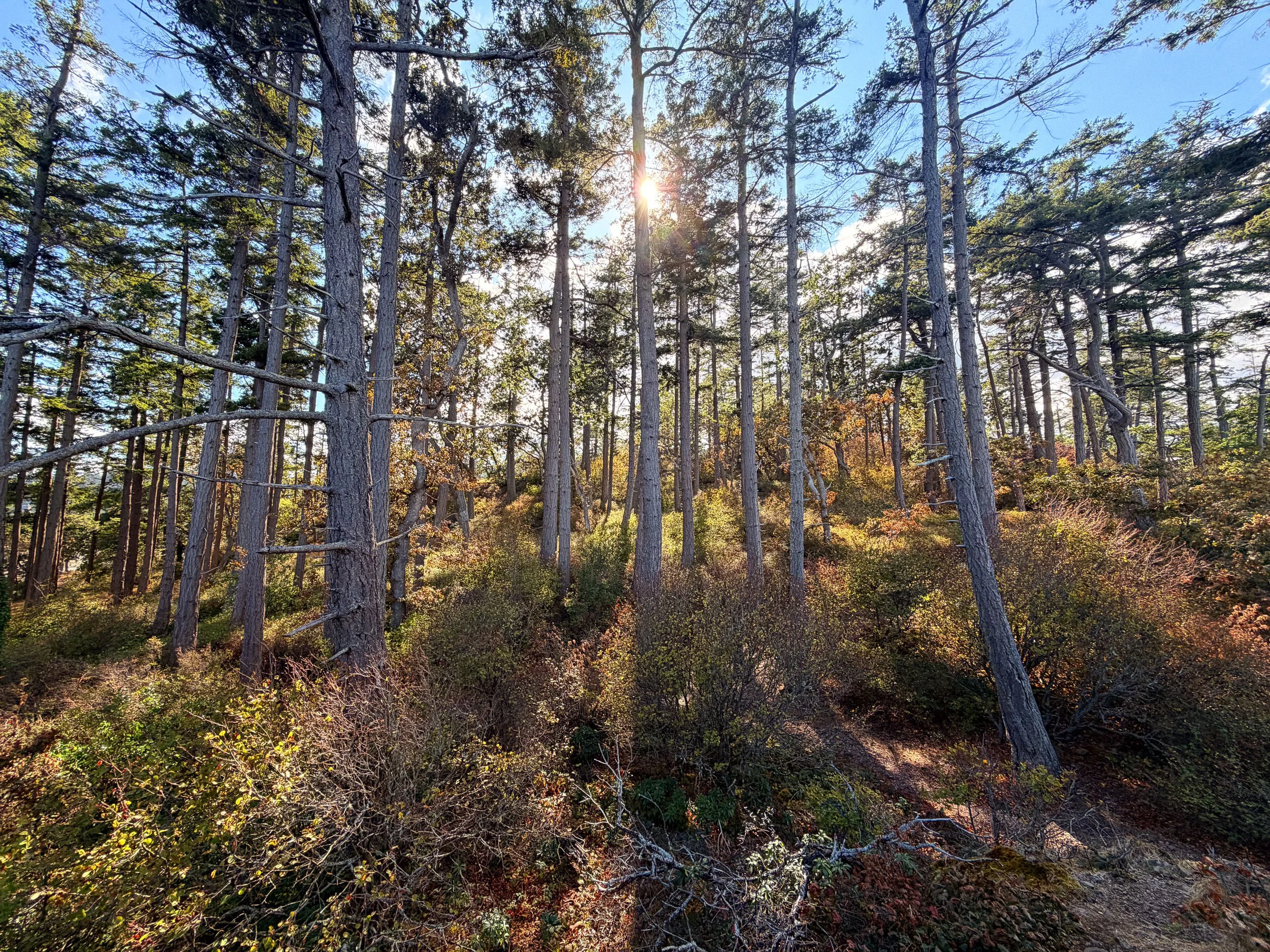 260901-RF-C1-4026-Pipers Lagoon-SD.jpg