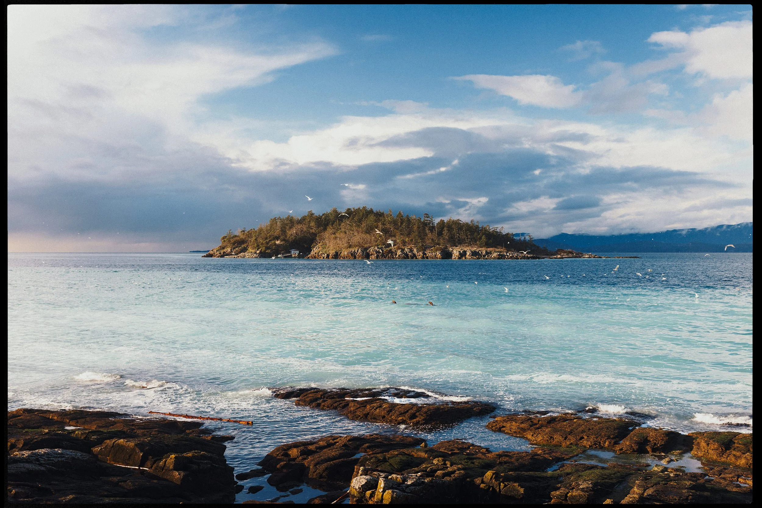RFerand_20250313_R5_2066-Nanoose Bay-HD.jpg