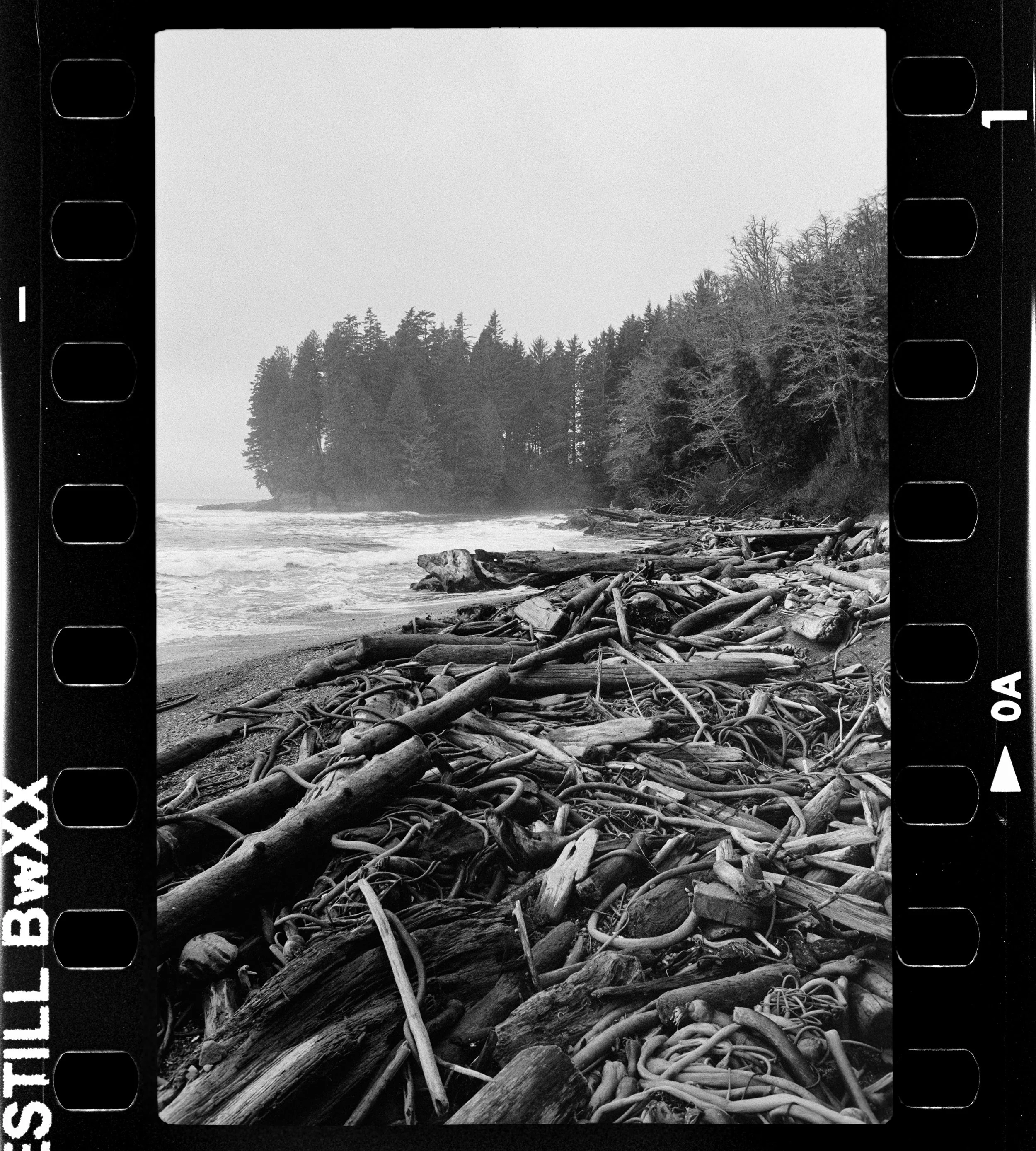 RFerand_BnW54_SRT101_CS-BWXX_19-Botany Bay-HD.jpg