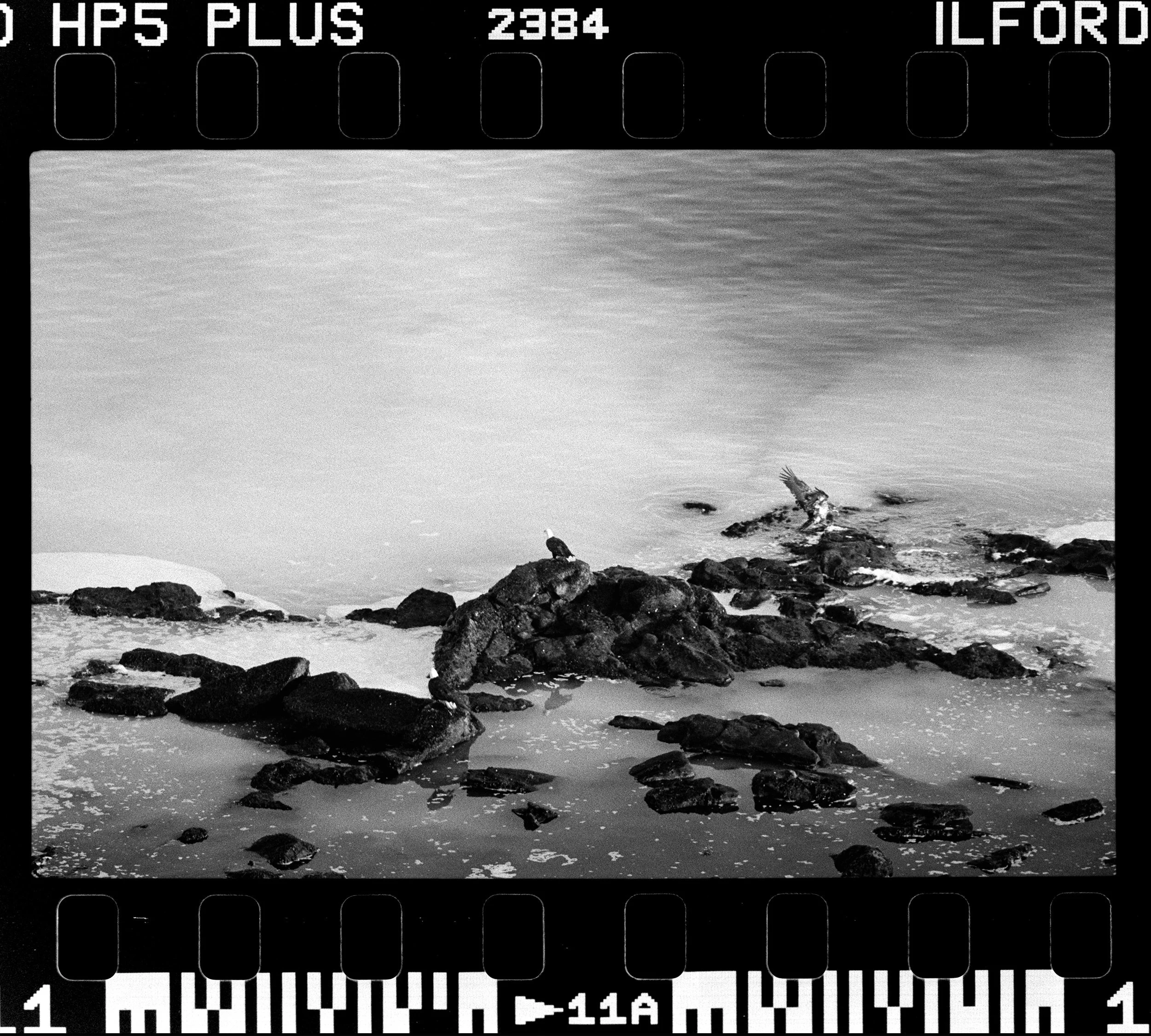 RFerand_BnW72_Elan7_HP5_35-Edit-Lighthouse Viewpoint Denman Island-HD.jpg