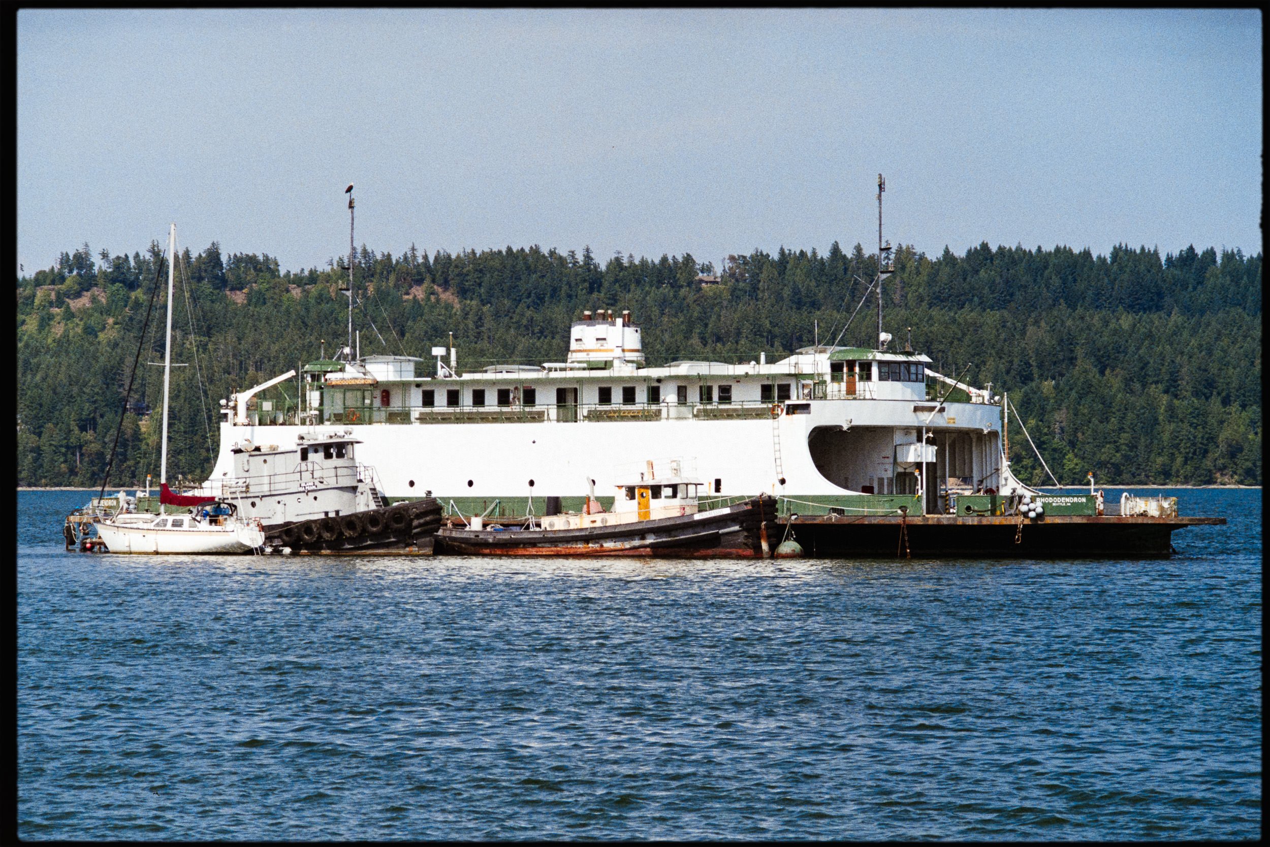 RFerand_C112-F3T-Superia200_26-Edit_Buckley Bay_SD_WEB.jpg