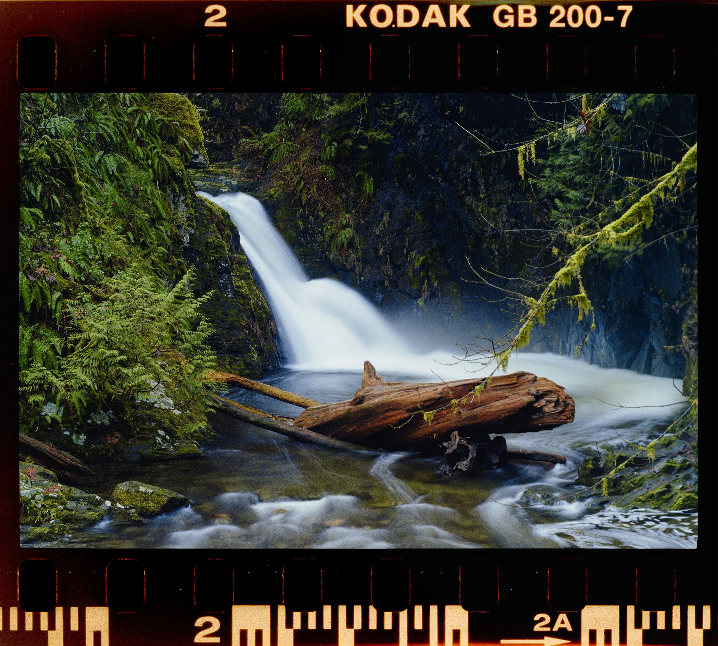 RFerand_C56_F3T_Gold200_18-Goldstream Provincial Park-HD.jpg