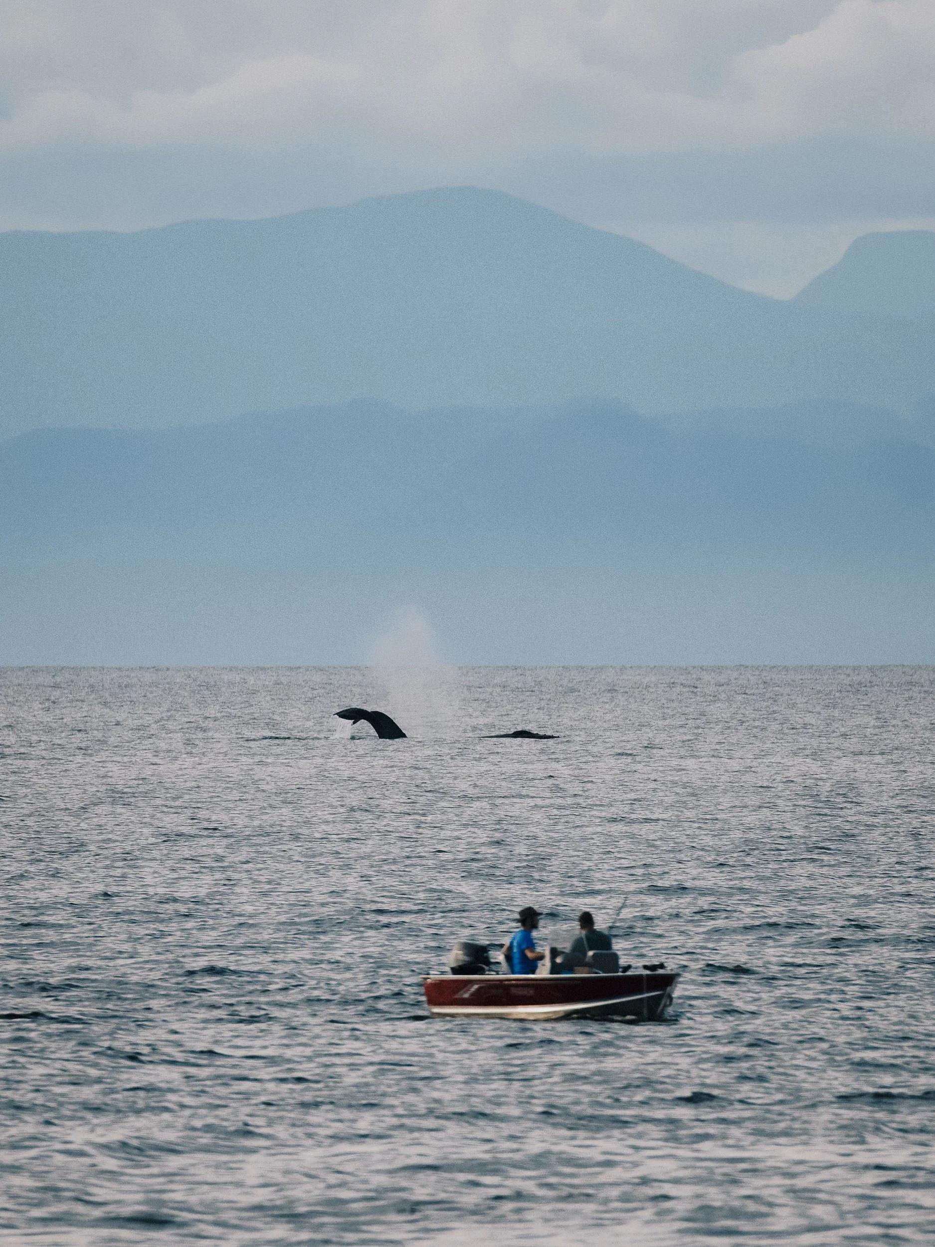 20250702-RFerand_20250702_R5_9515-DxO_Humpbacks - Neck Point Park_SD.jpg