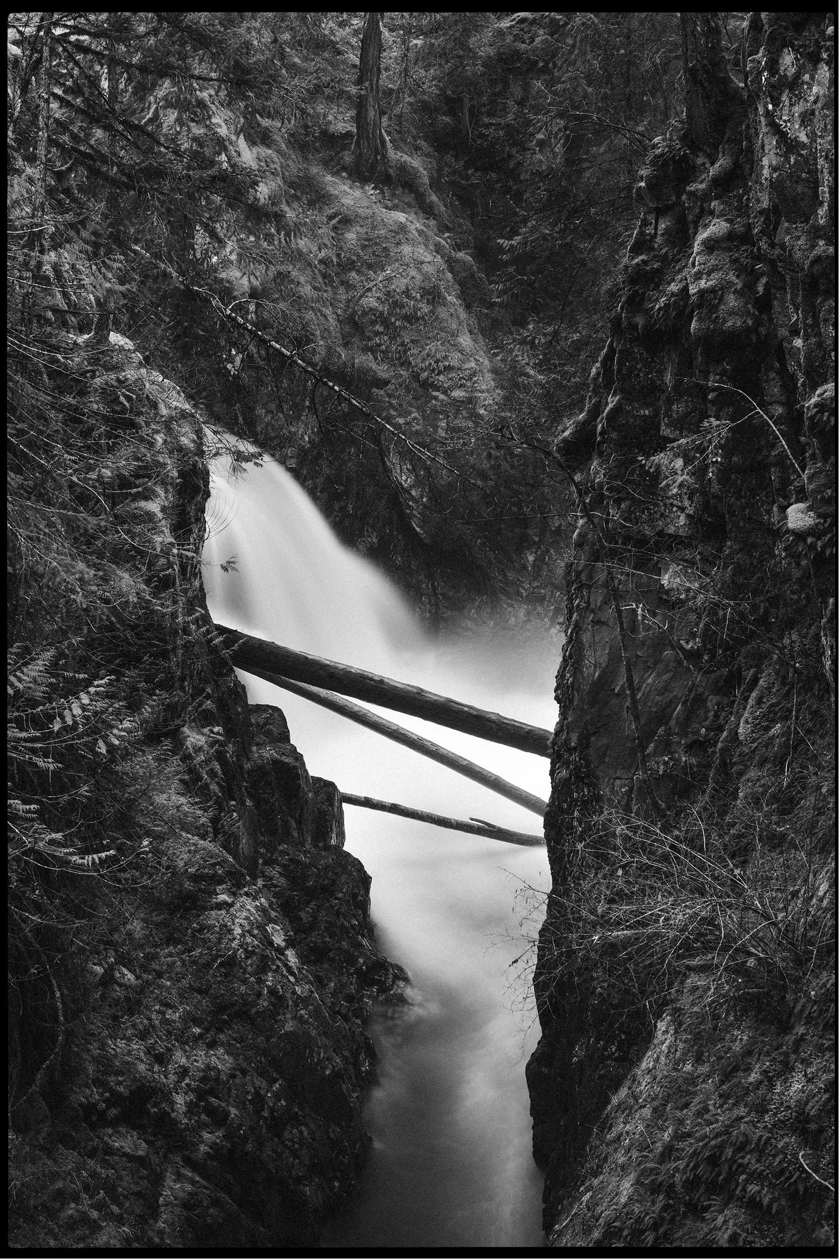 A black and white photo of a narrow gorge with steep rocky sides covered in trees, with a waterfall flowing through the center.