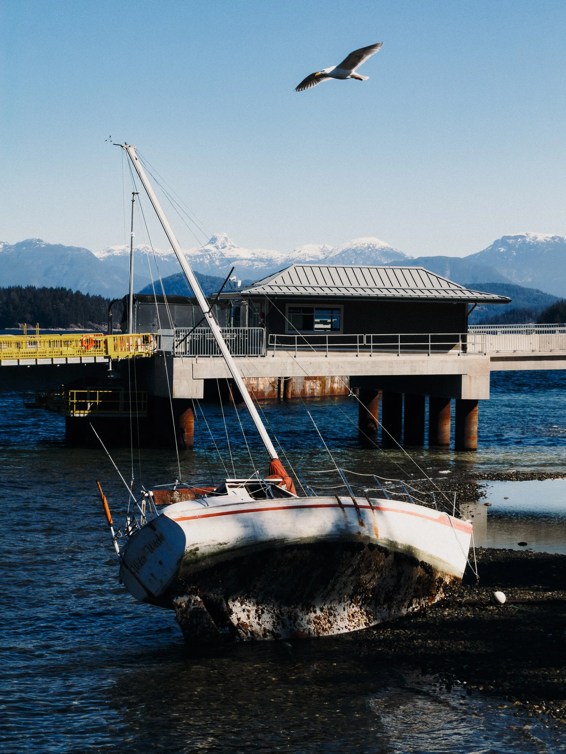 260407-RF-B1-3002-Heriot-Bay-Quadra-SD.jpg