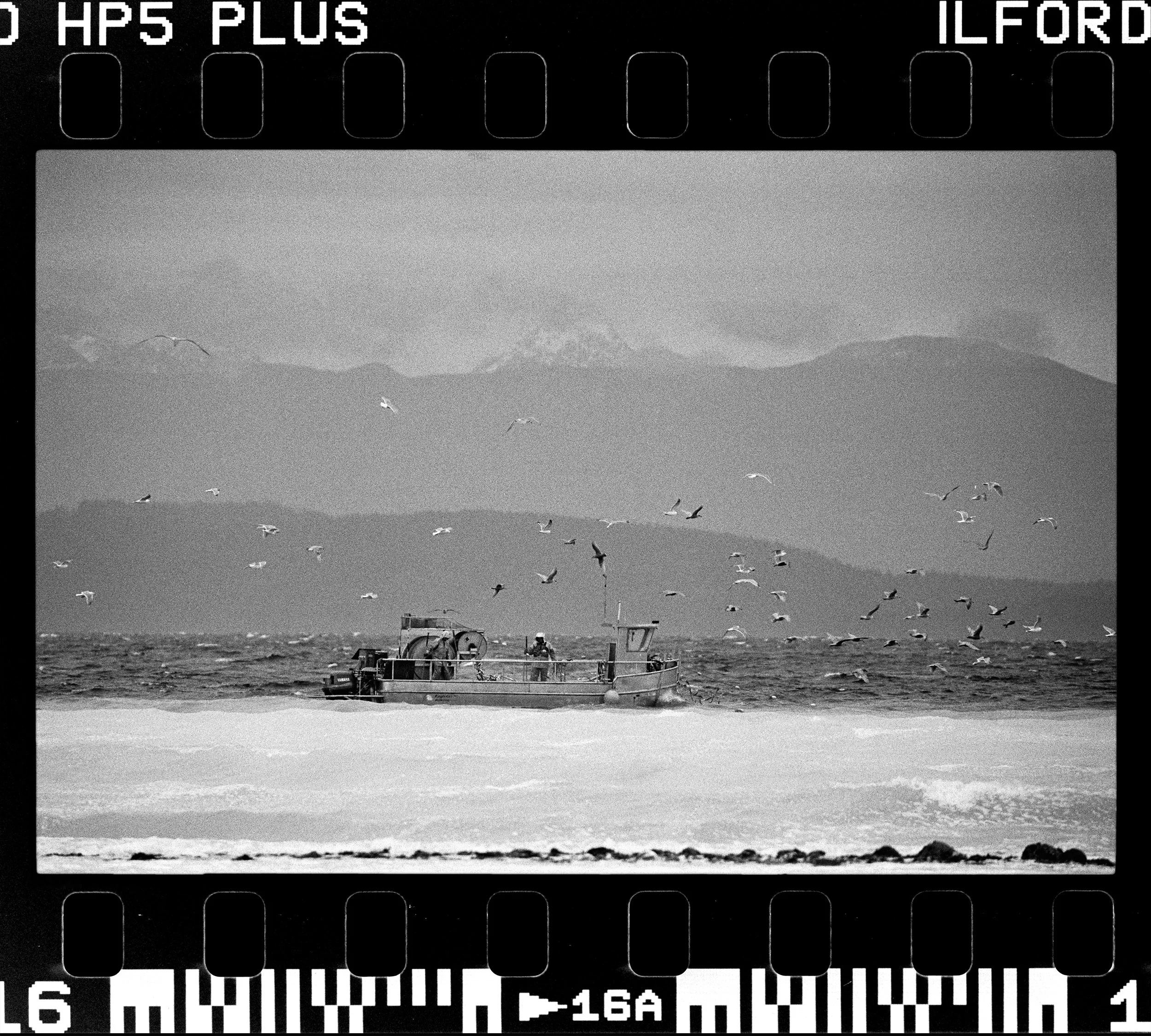 RFerand_BnW73_Elan7_HP5_10-Herring Spawn - Parksville-HD.jpg