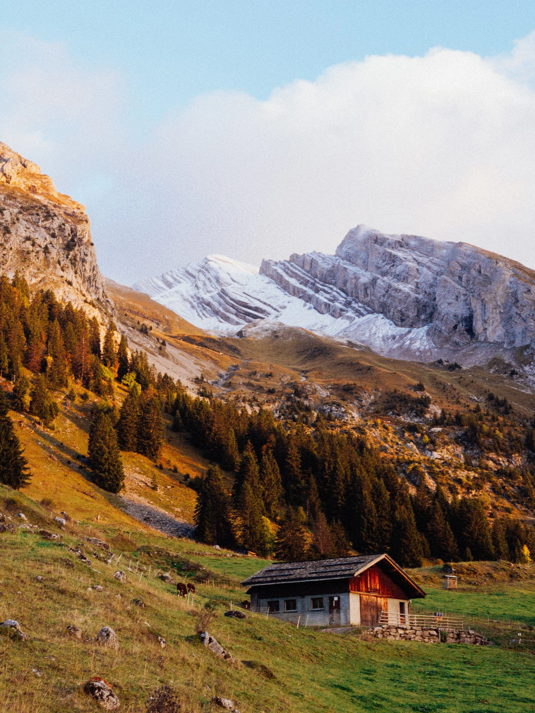 RFerand_20251005_IMG_0524_Les Confins_SD_WEB.jpg