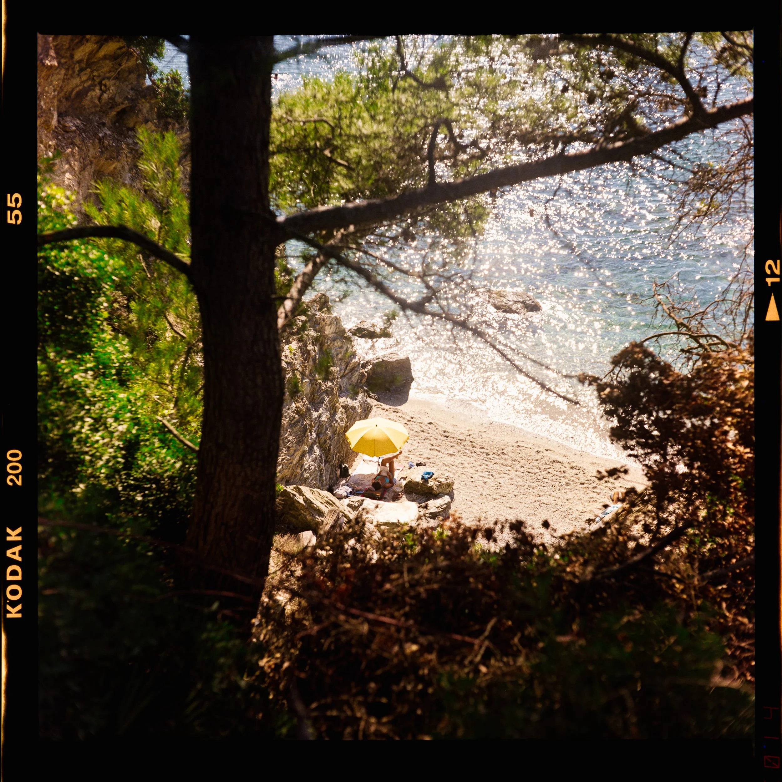 RFerand_C123_Yahsica-Mat_Gold200_12_Plage des Darboussières_SD.jpg