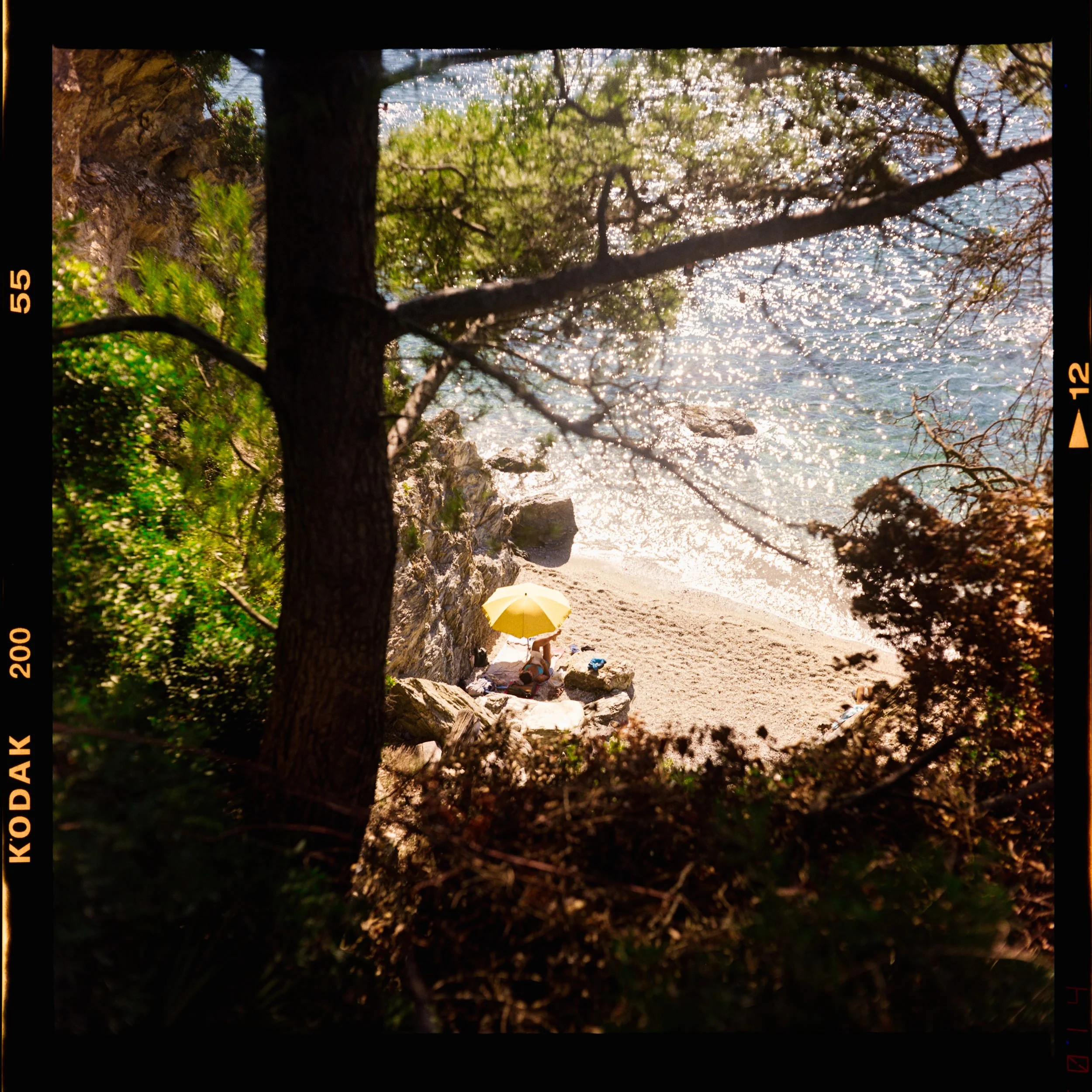 RFerand_C123_Yahsica-Mat_Gold200_12-Plage des Darboussières-SD.jpg