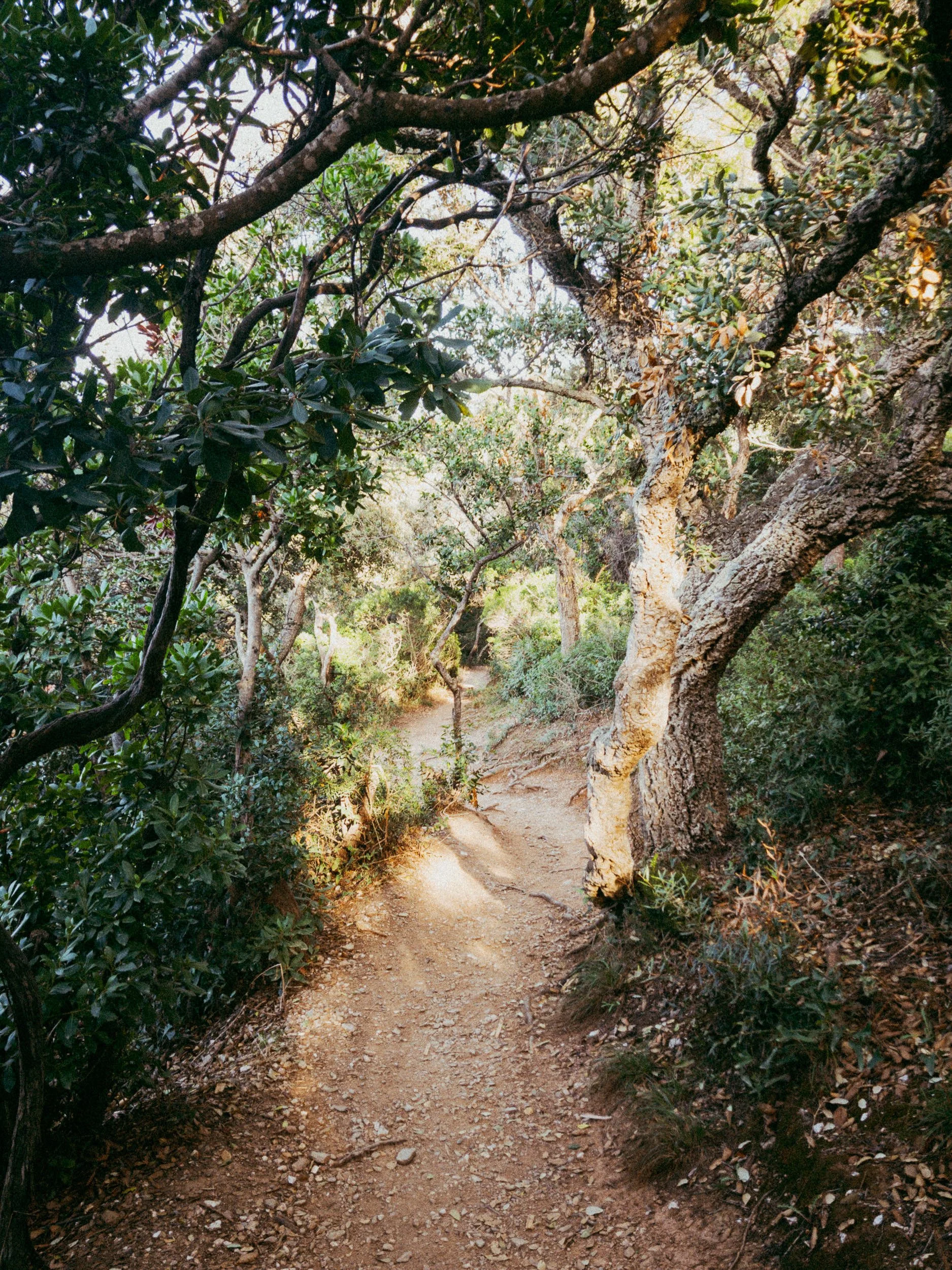 RFerand_20250917_IMG_0271_Sentier du Littoral Est_SD_WEB.jpg