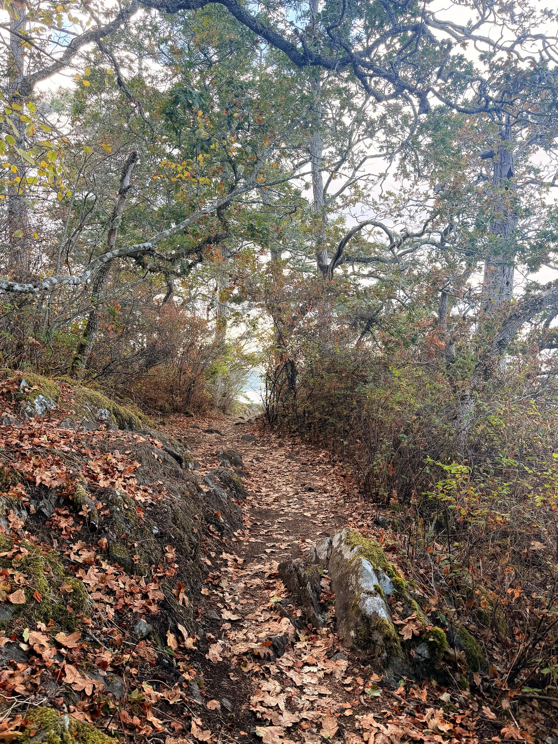 260901-RF-C1-4034-Pipers Lagoon-SD.jpg