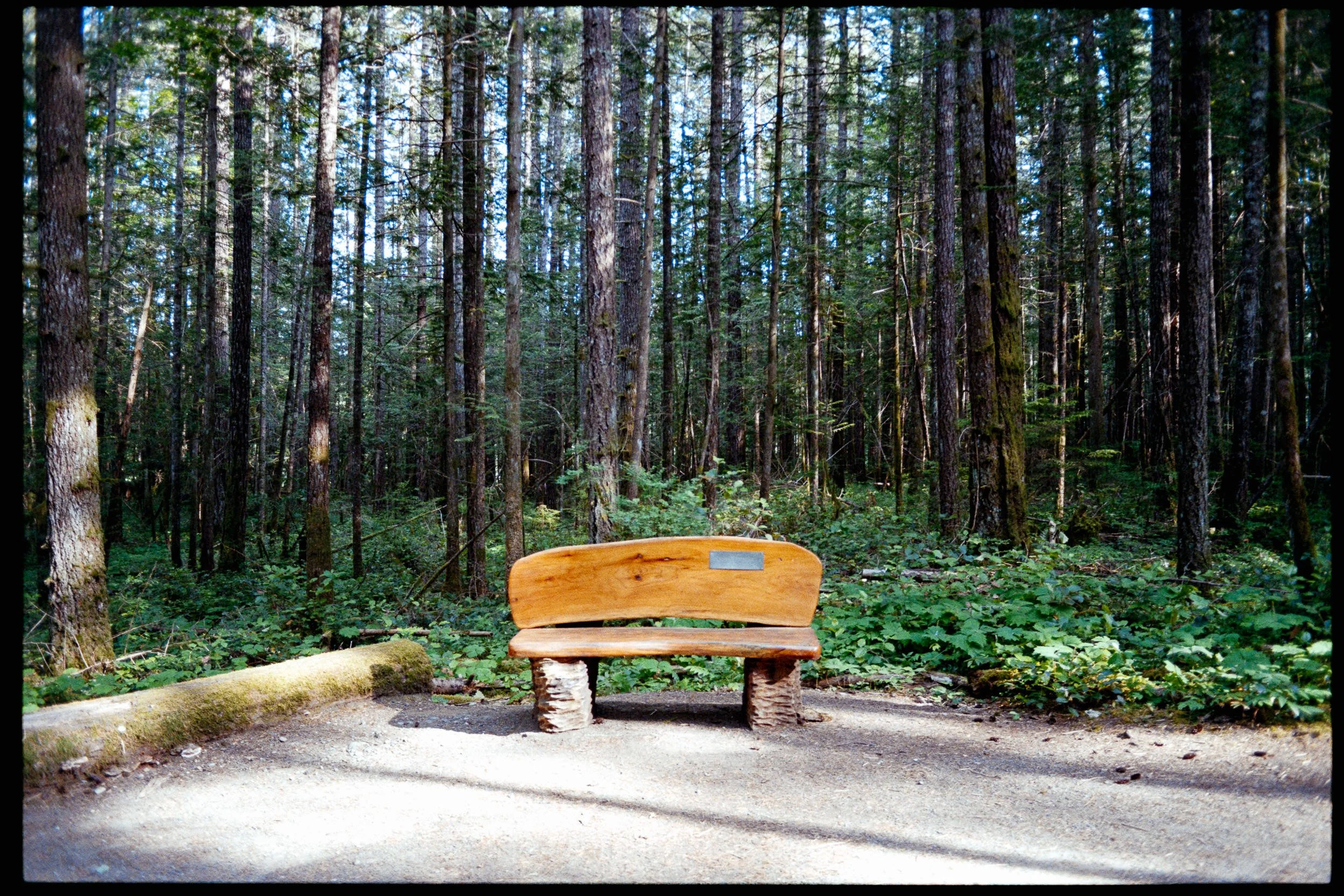 RFerand_C112-F3T-Superia200_34_Nymph Falls_SD_WEB.jpg