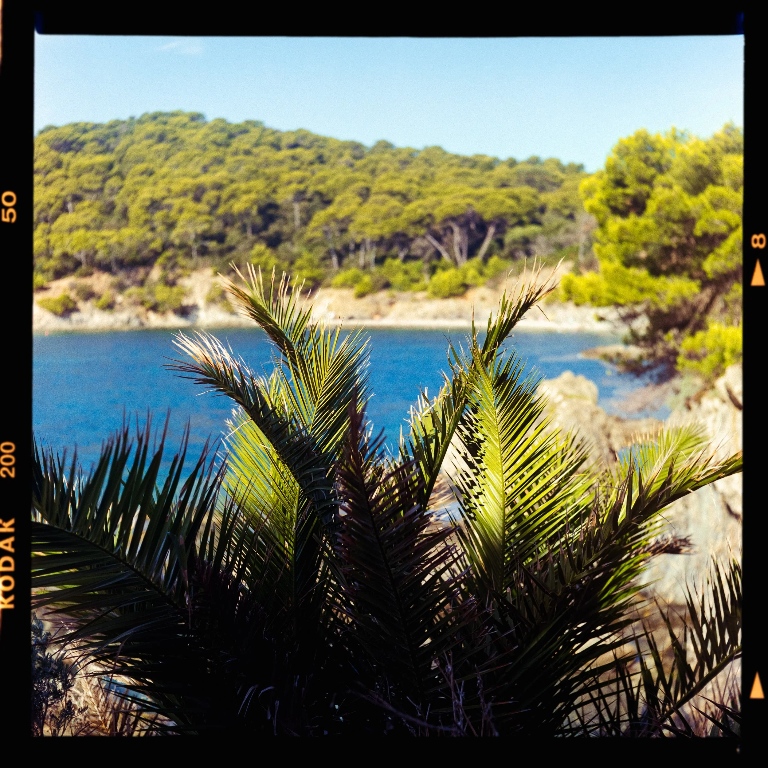 RFerand_C123_Yahsica-Mat_Gold200_08-Edit_Plage des Darboussières_SD.jpg