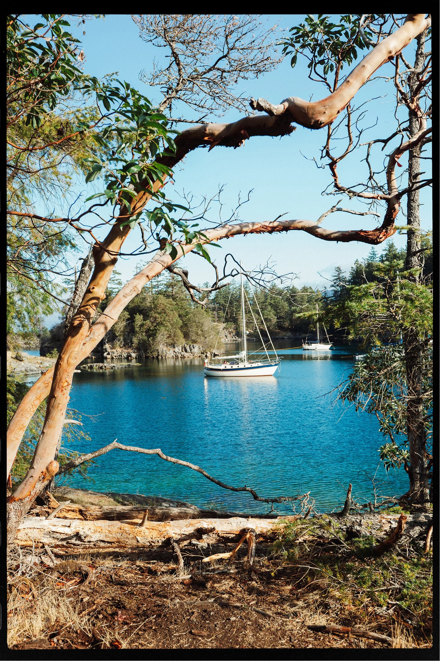 RFerand-20190902__C5D2338-DNG_DxO-Sunshine Coast BC-HD.jpg