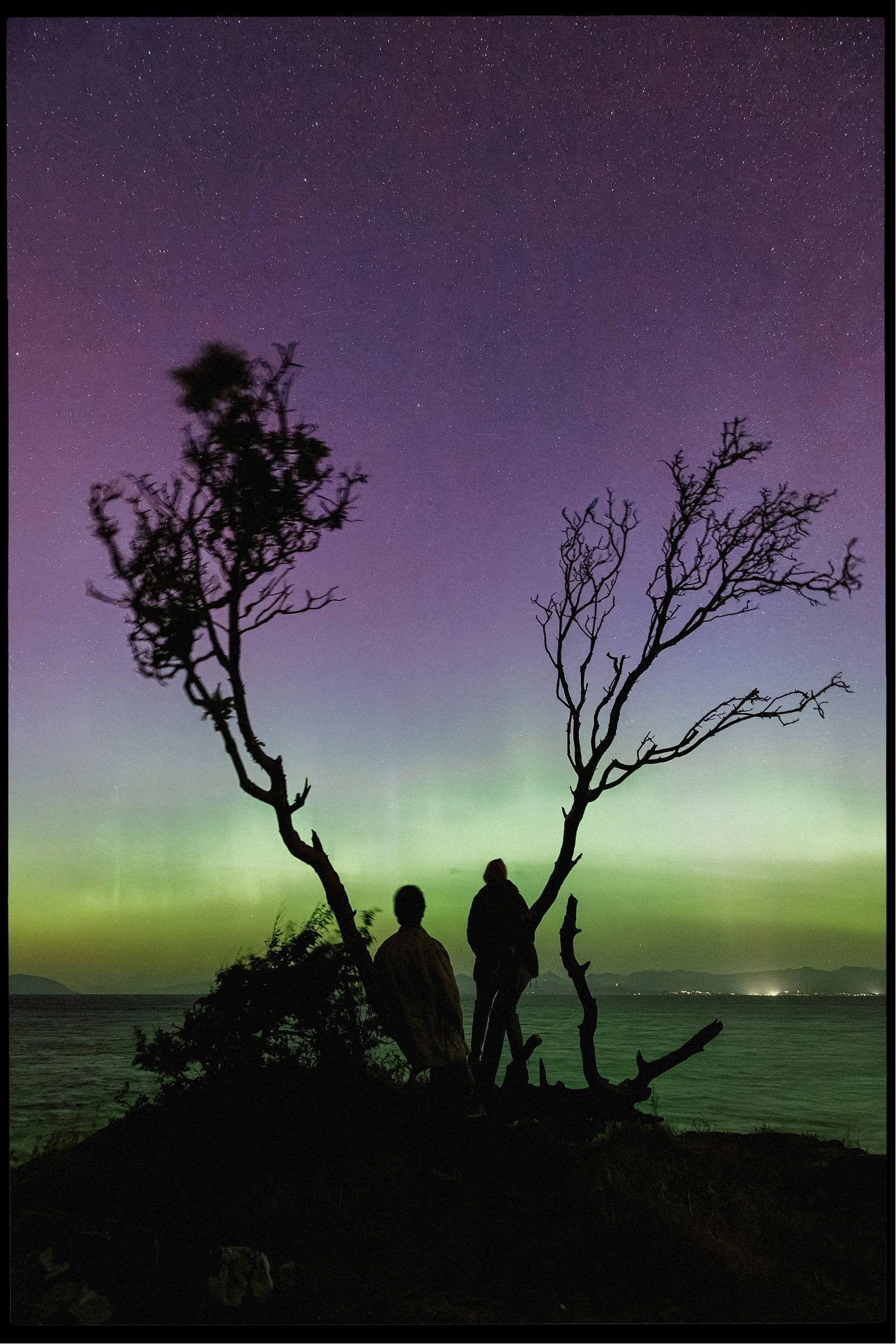 Silhouettes of two people standing near a leafless tree on a shore at night, with the northern lights and a starry sky overhead.
