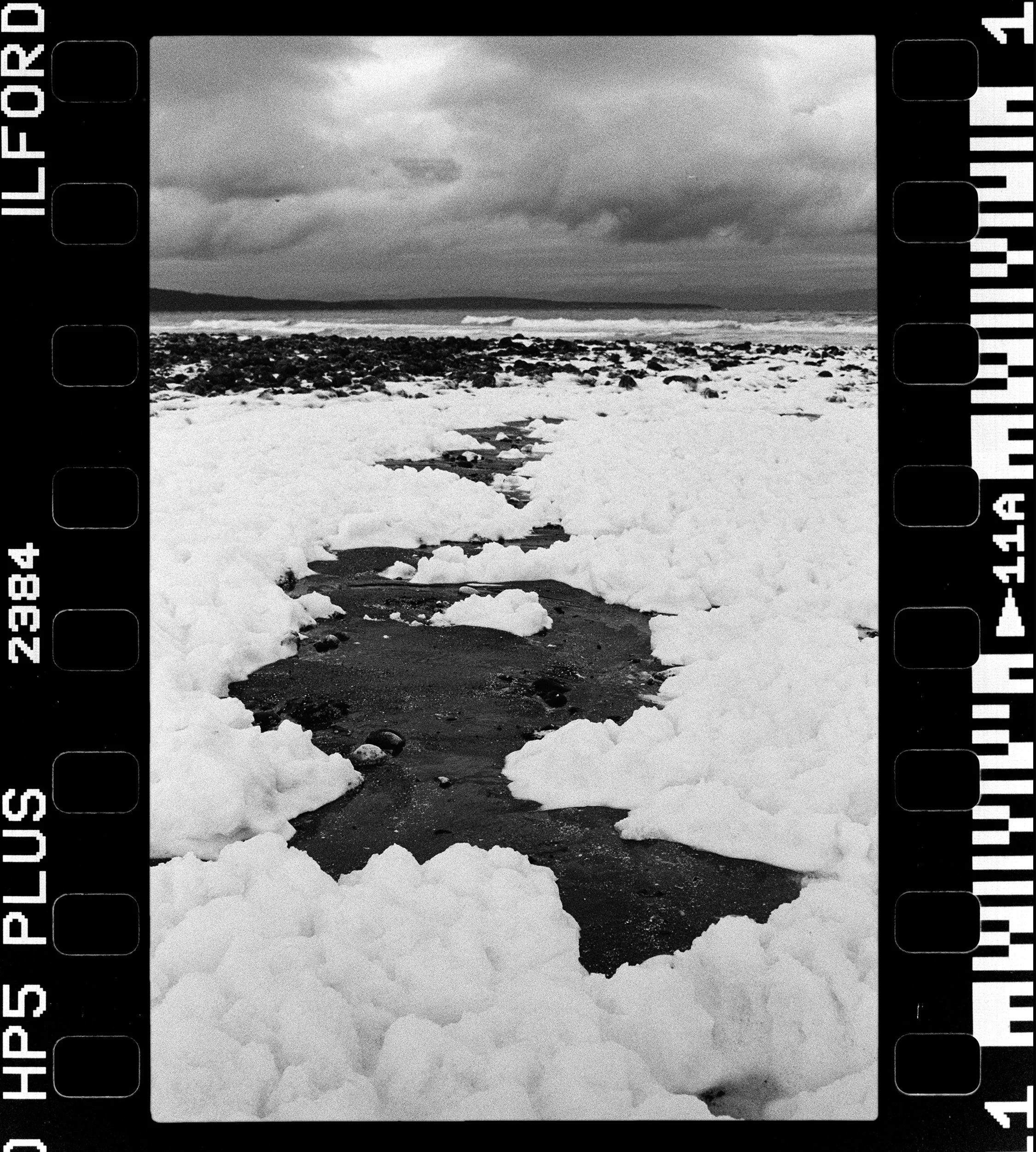 RFerand_BnW73_Elan7_HP5_26-Herring Spawn - Bowser-HD.jpg