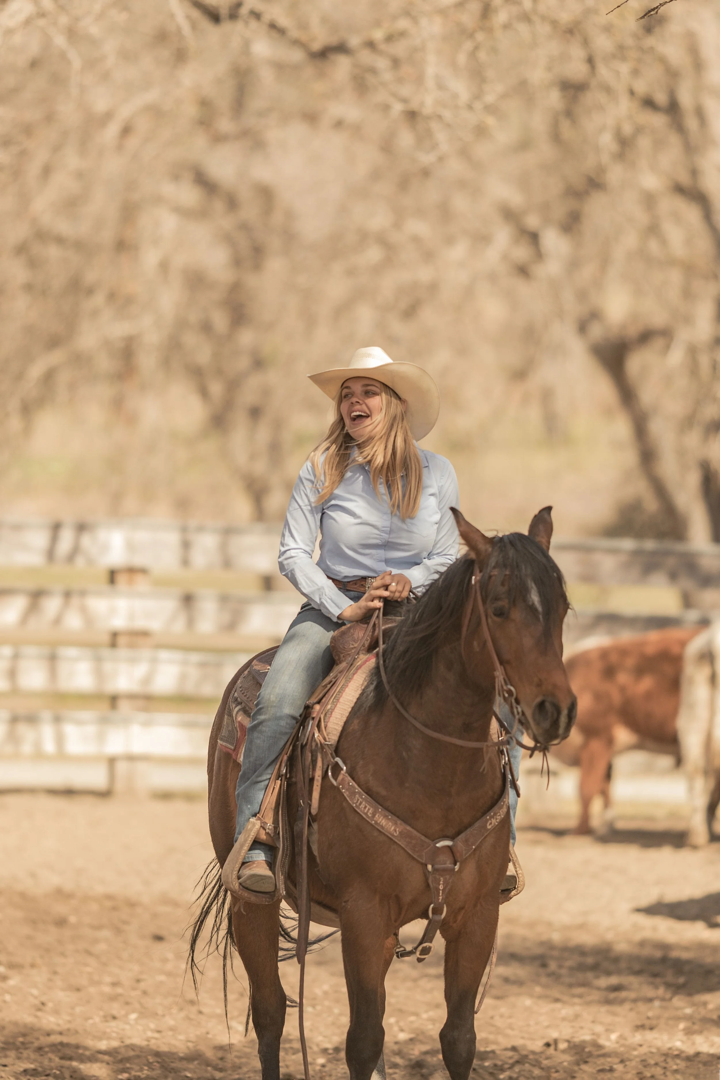 V6 Dude Ranch Vacation California Horses Ace