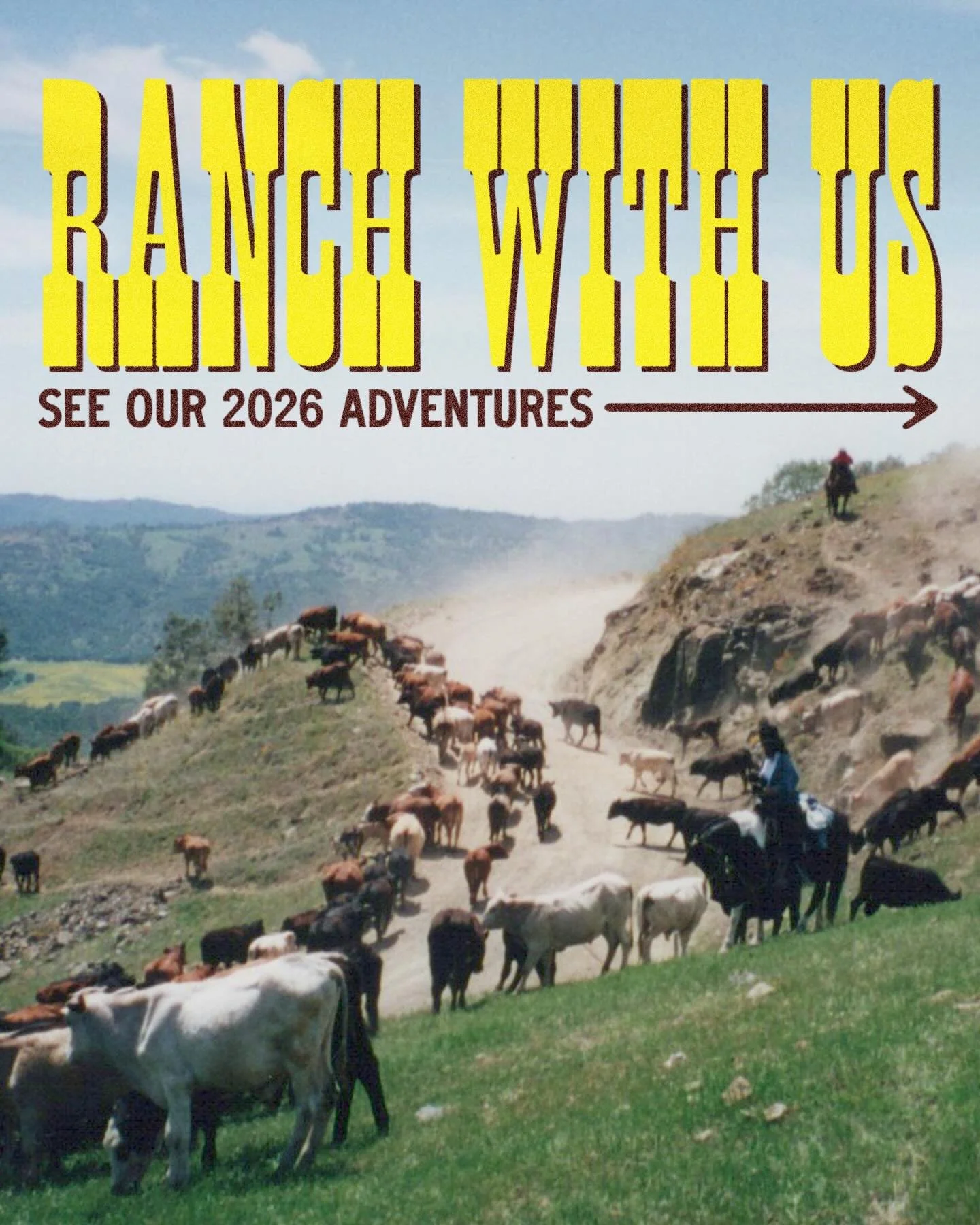 Come ranch with us in 2026! 

This year we are celebrating 65 years on this incredible ranch. We&rsquo;d sure love to share it with ya! Hope to see you on the ranch.

#v6ranch #thecowboysideofcalifornia