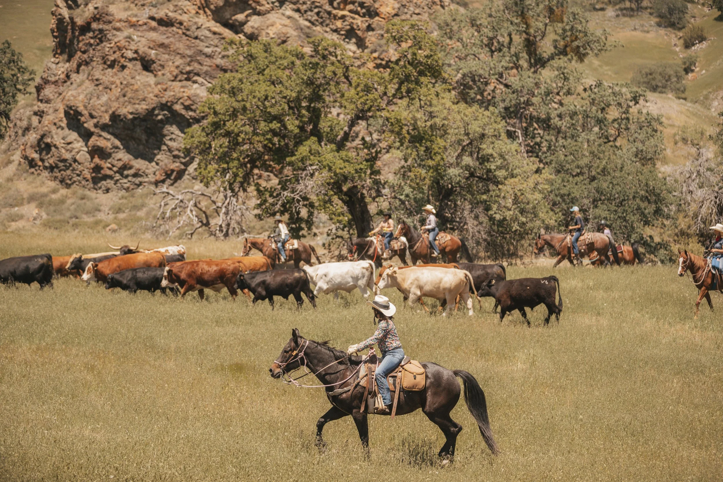 SOLD OUT - V6 Cattle Drive