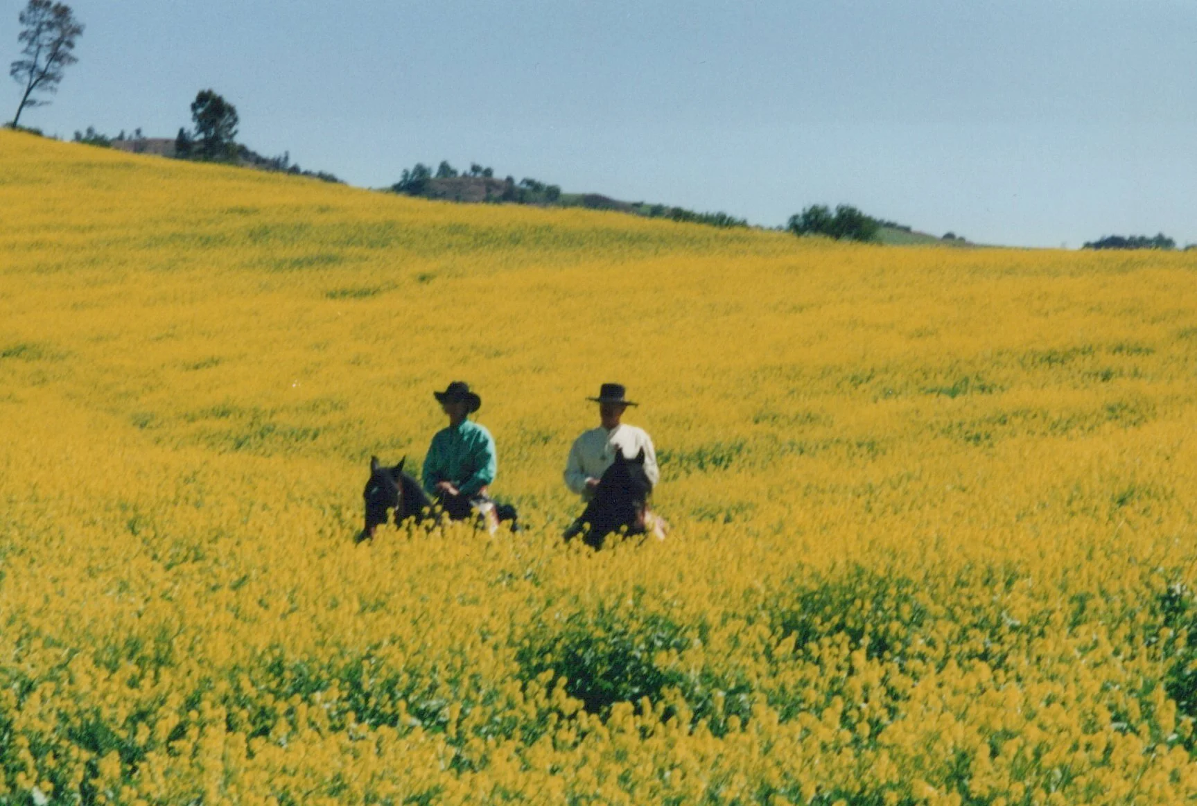 2000_April_Cattle Drive - Jeanette Thorpe_0005.jpg