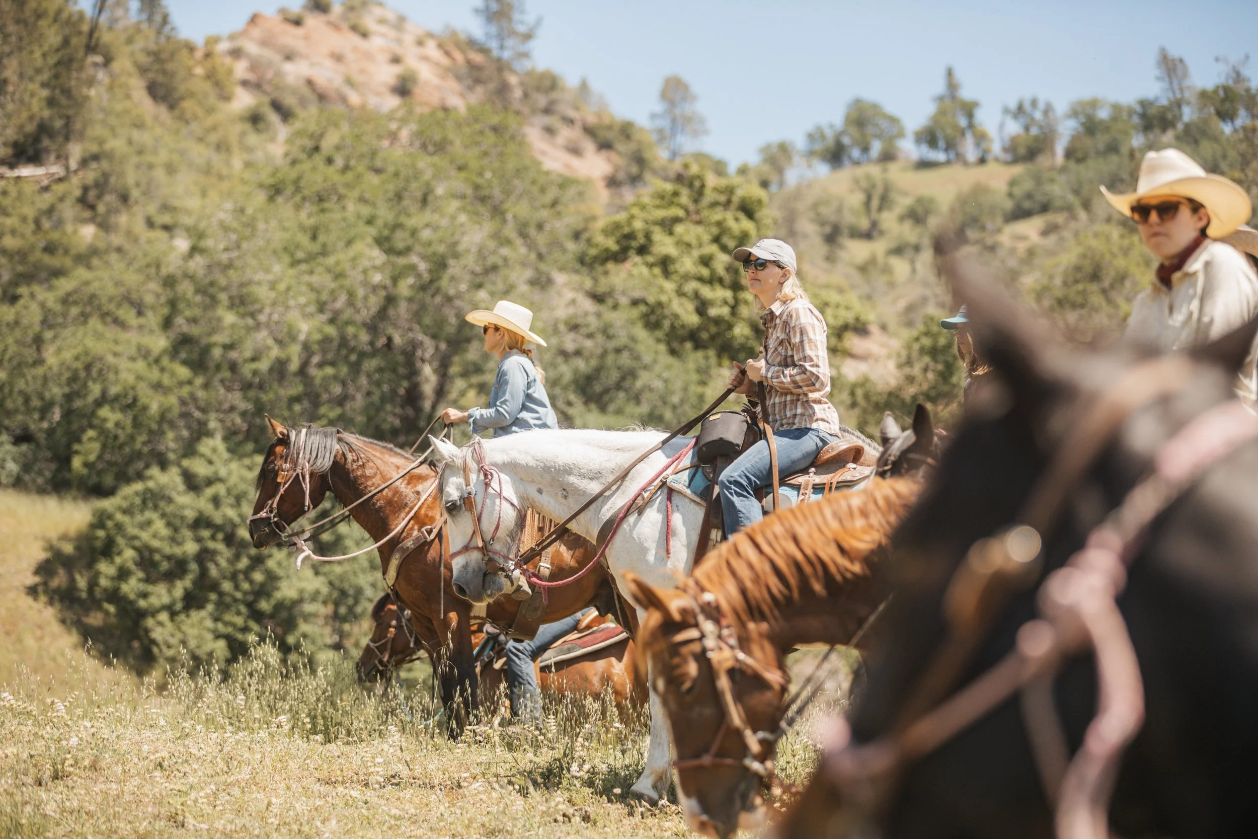 Dude Ranch Getaway