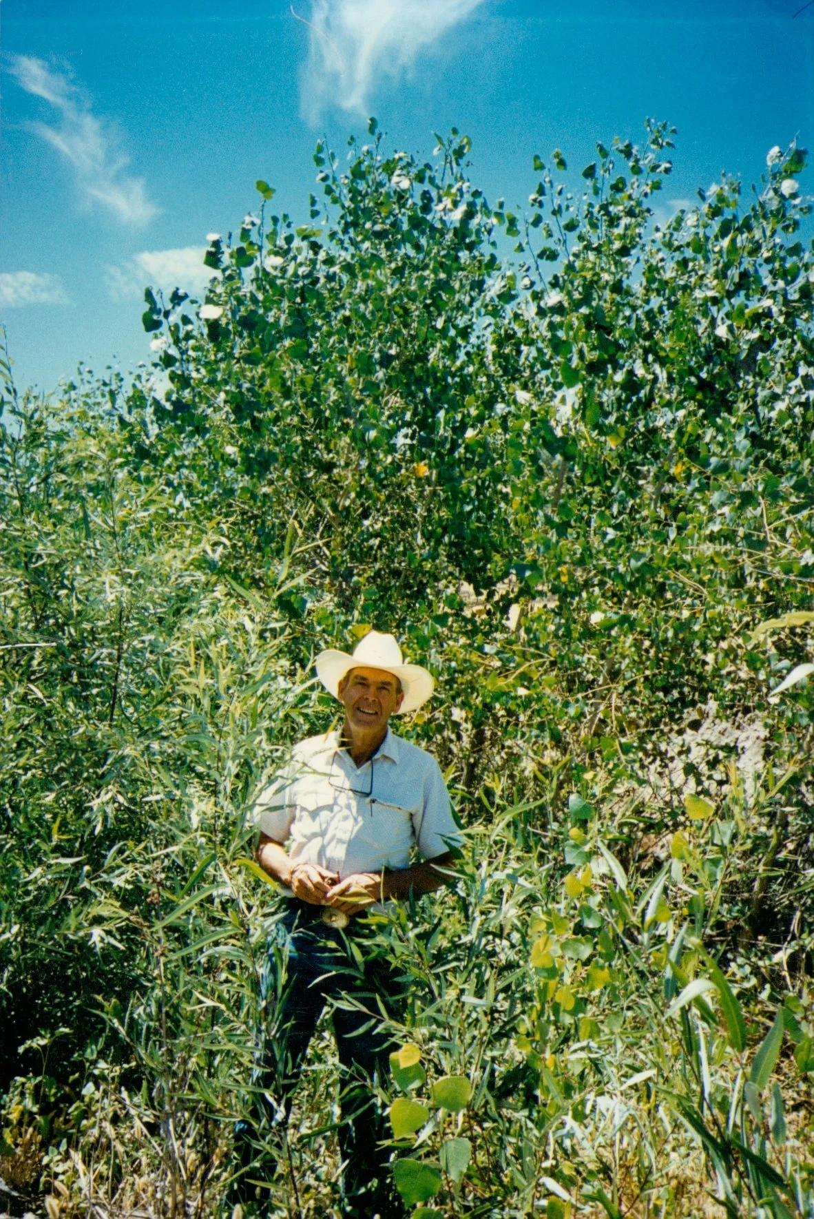 July 1996-0003.jpg