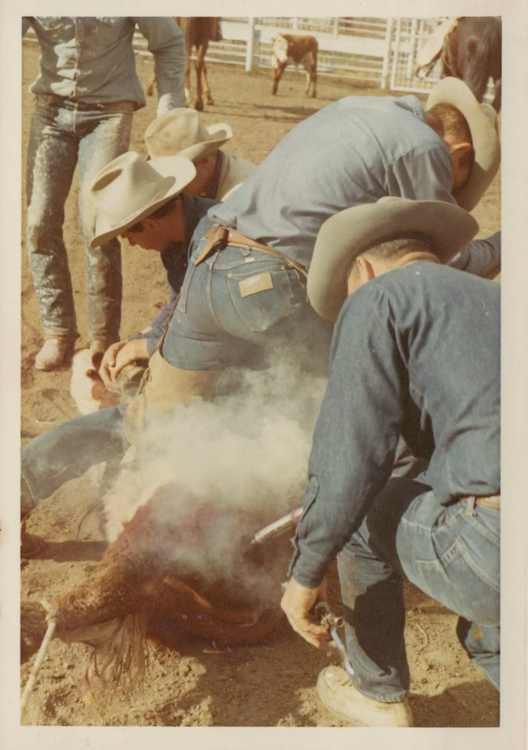 1970s_Branding & Ranch Life_0011.jpg