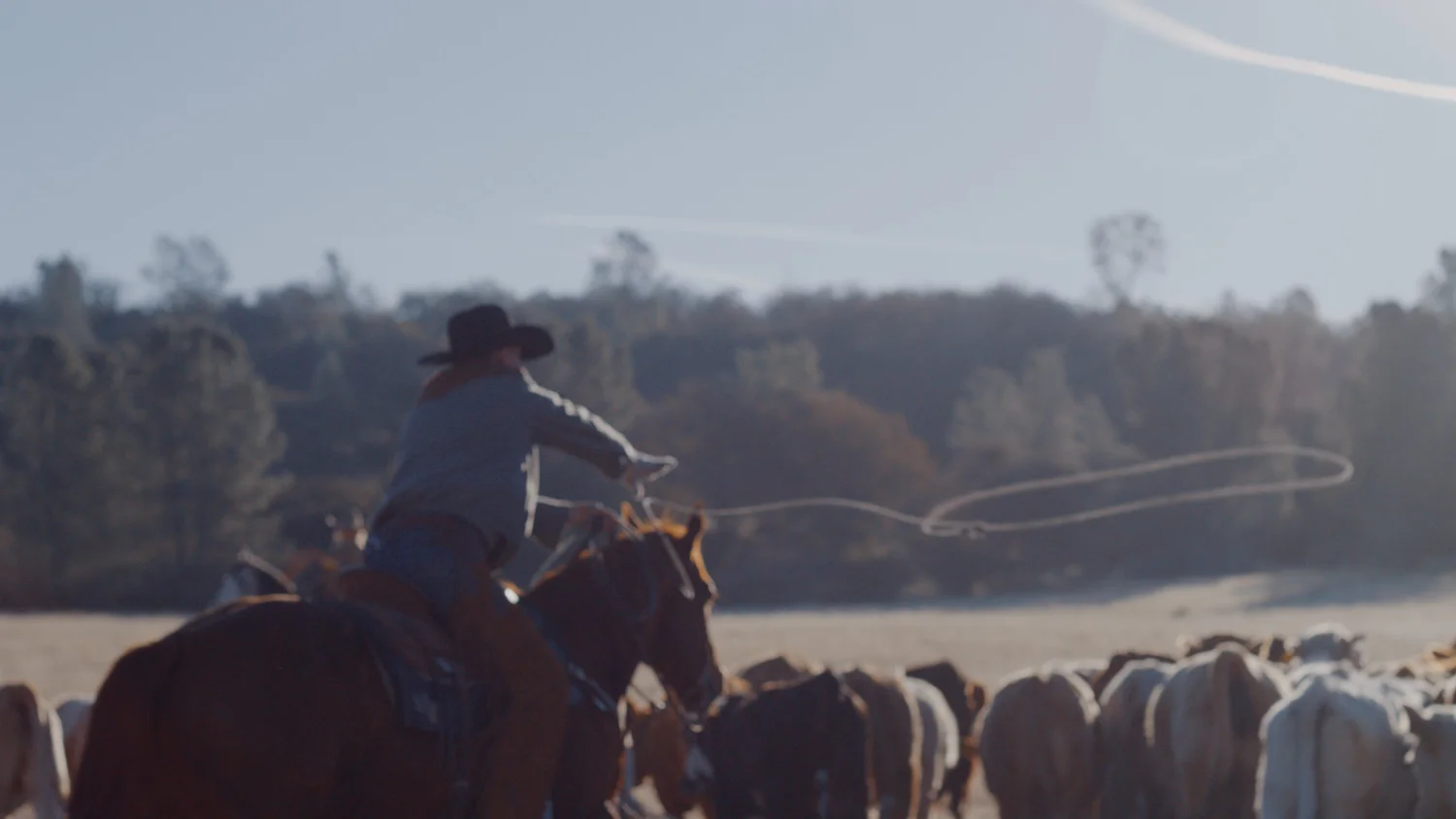 Careers | Join Our Ranching Team Today — V6 Ranch - Authentic ...