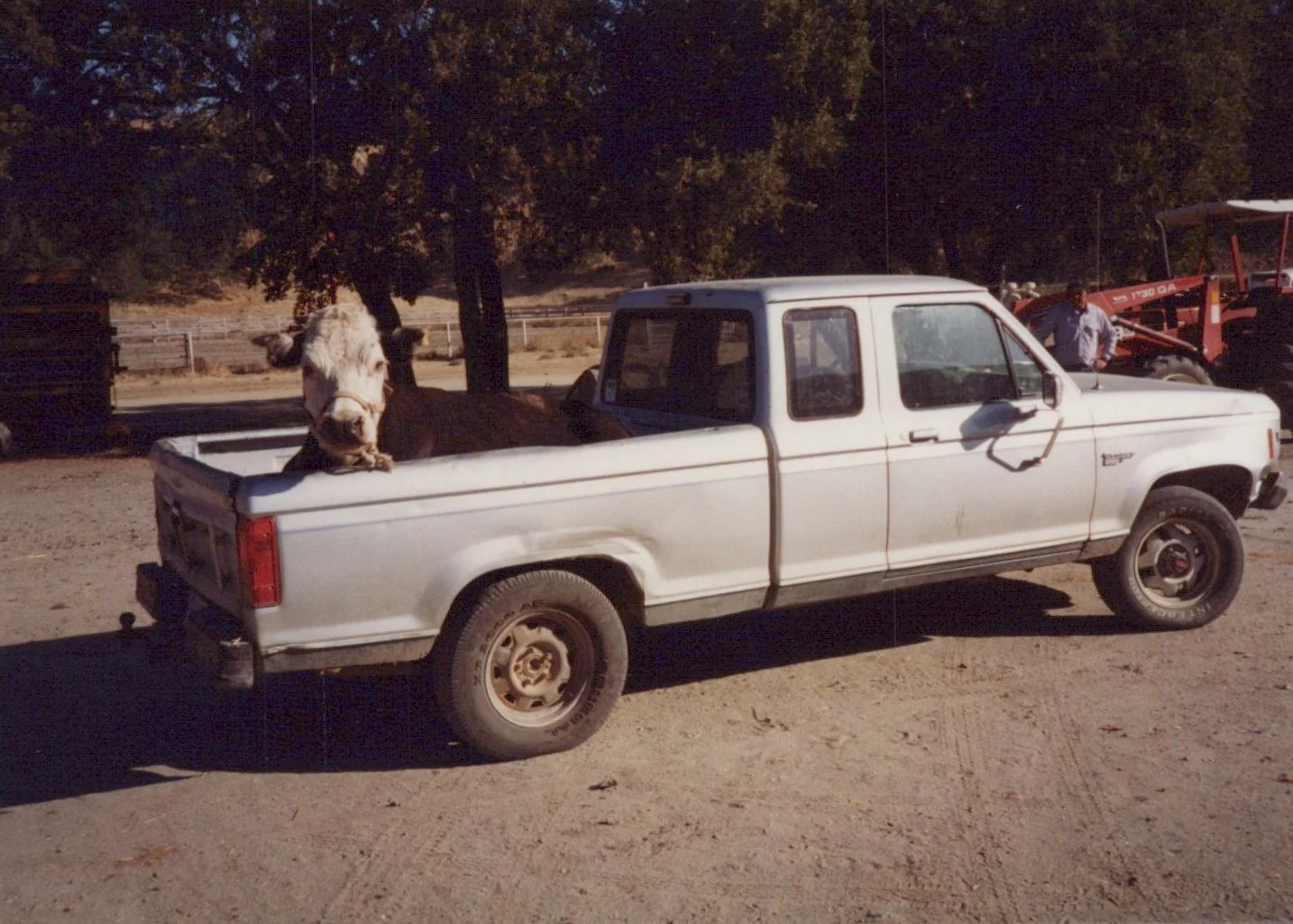 1993_Fall_Misc Ranch Life_0032.jpg