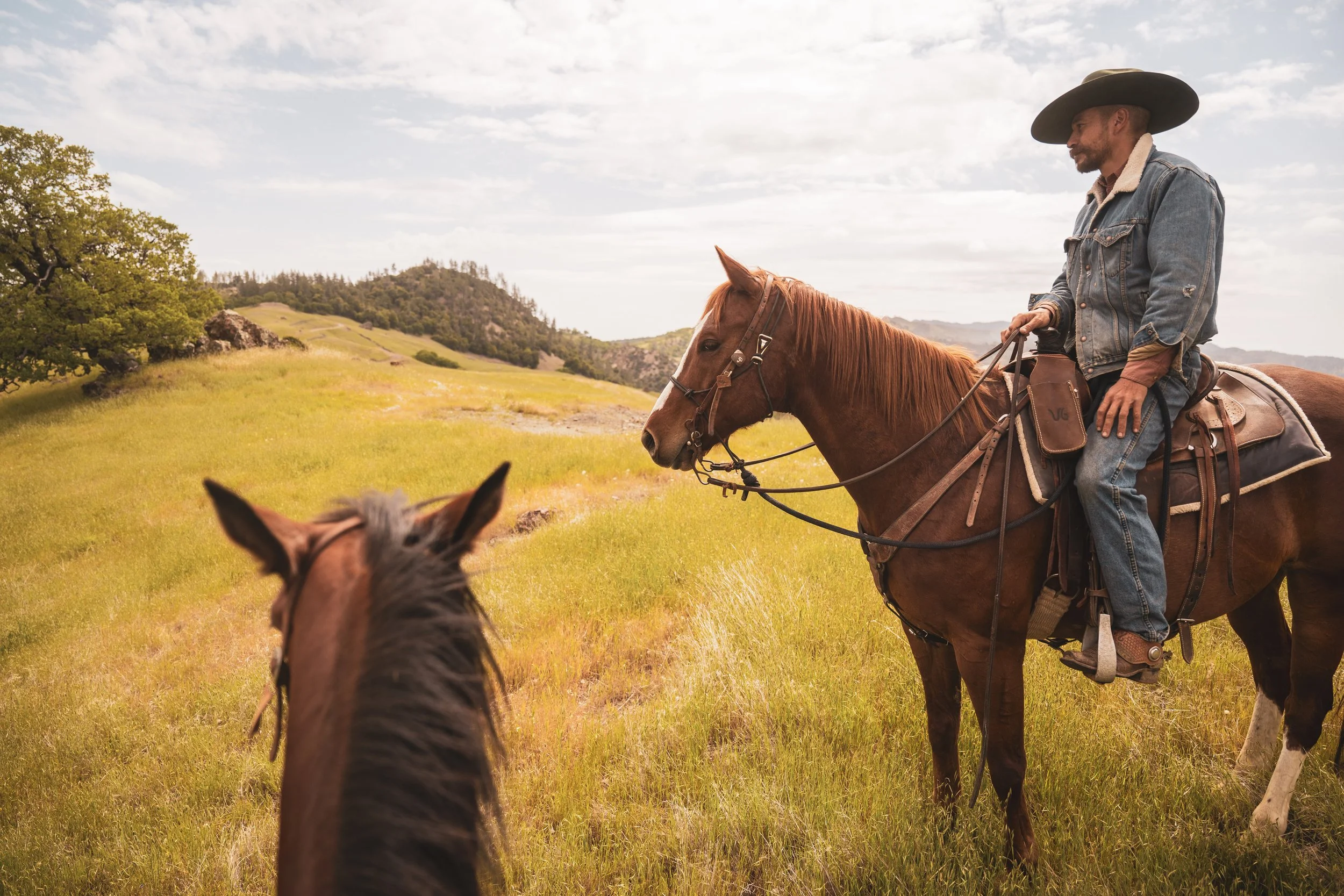 V6 Ranch California Central Coast Dude Ranch Guest Ranch Cattle Drives Cowboy School