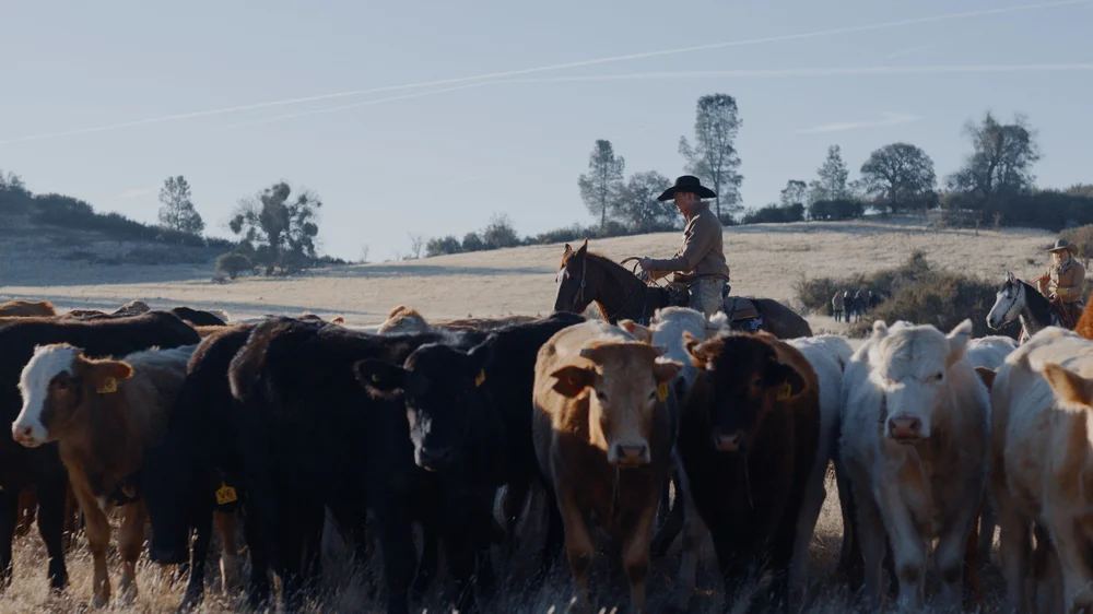 V6 Ranch Cowboy Academies — V6 Ranch - Authentic California Ranch ...