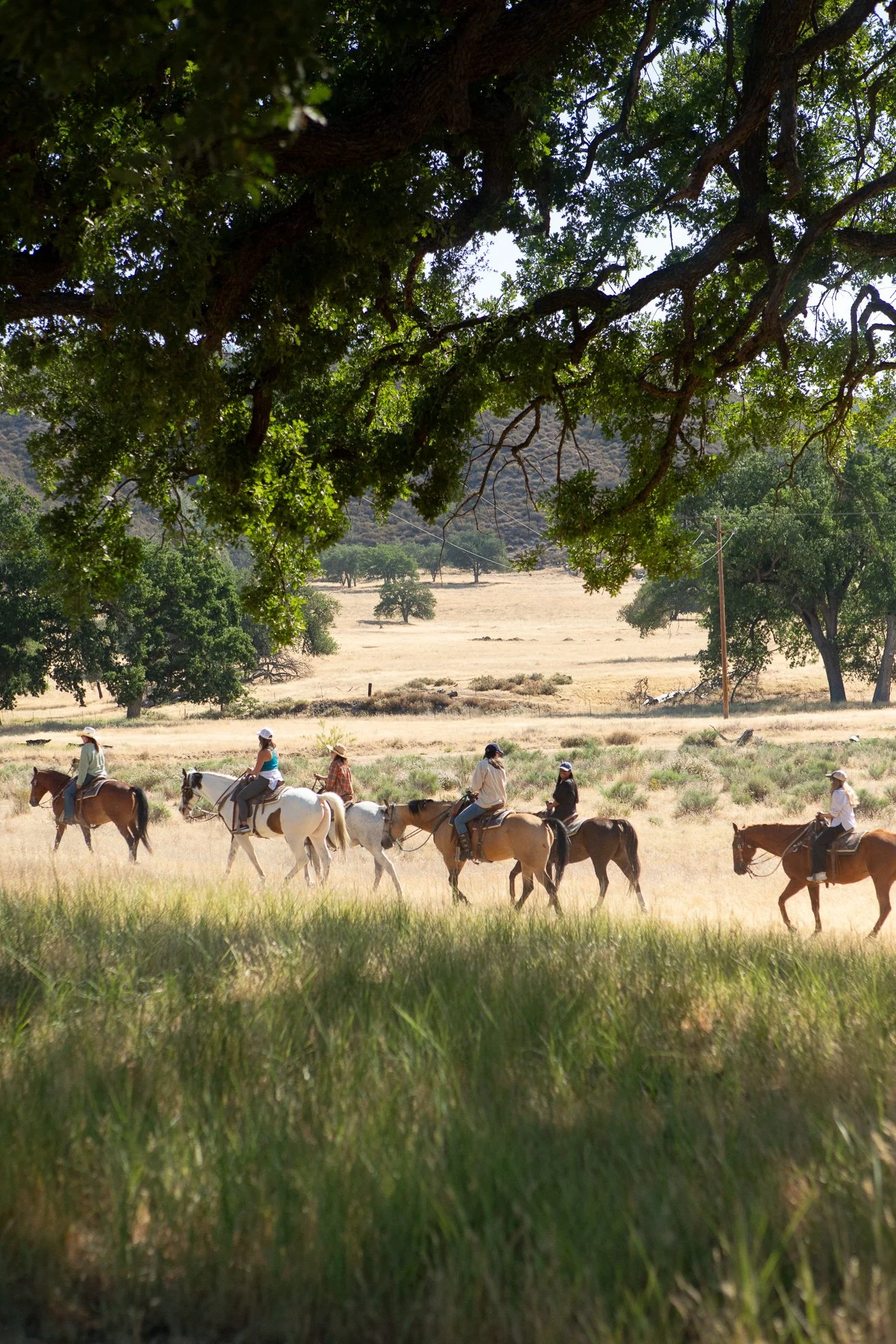 Dude Ranch Getaway
