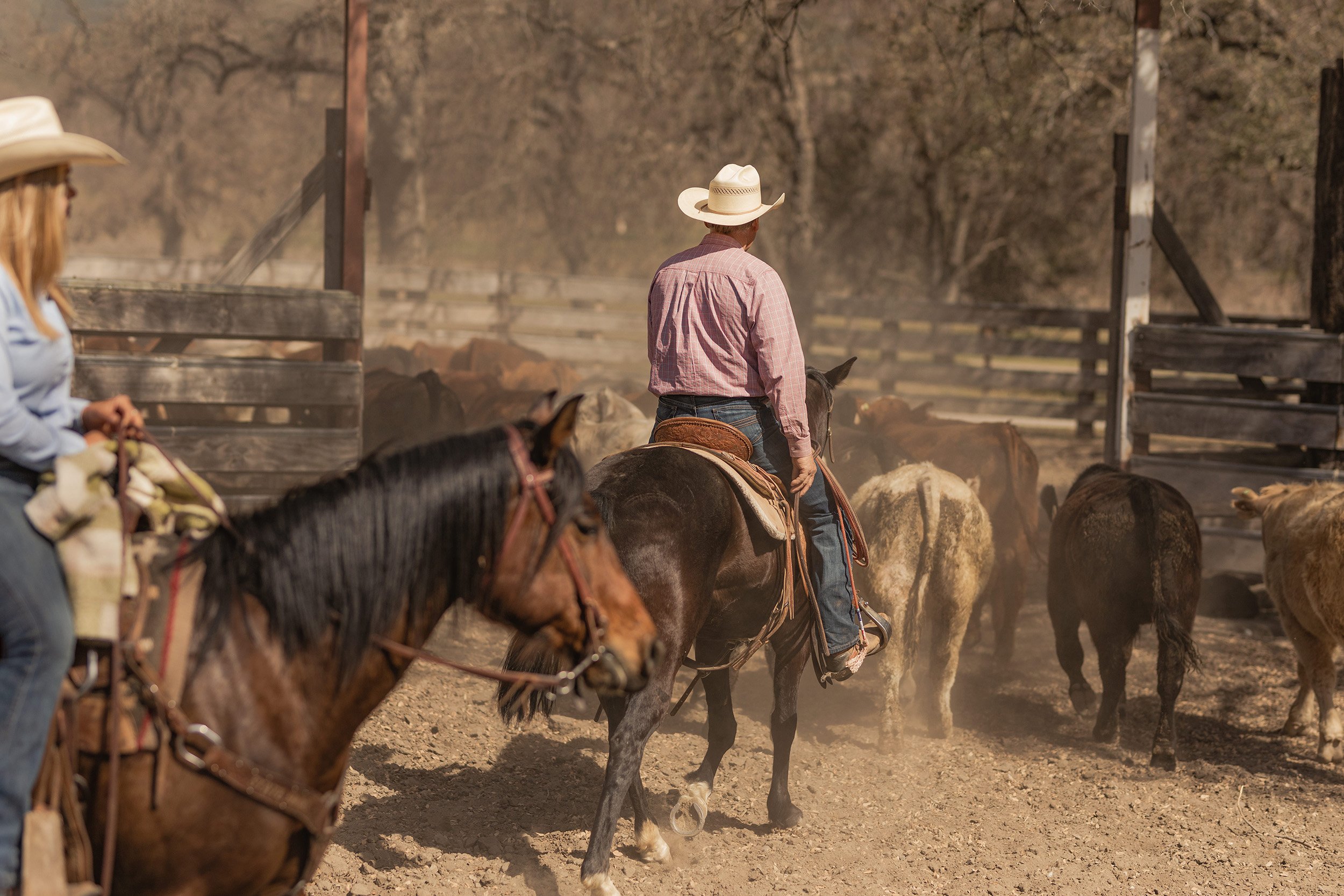 1v6-duderanch-mollyvm_58 sm.jpg