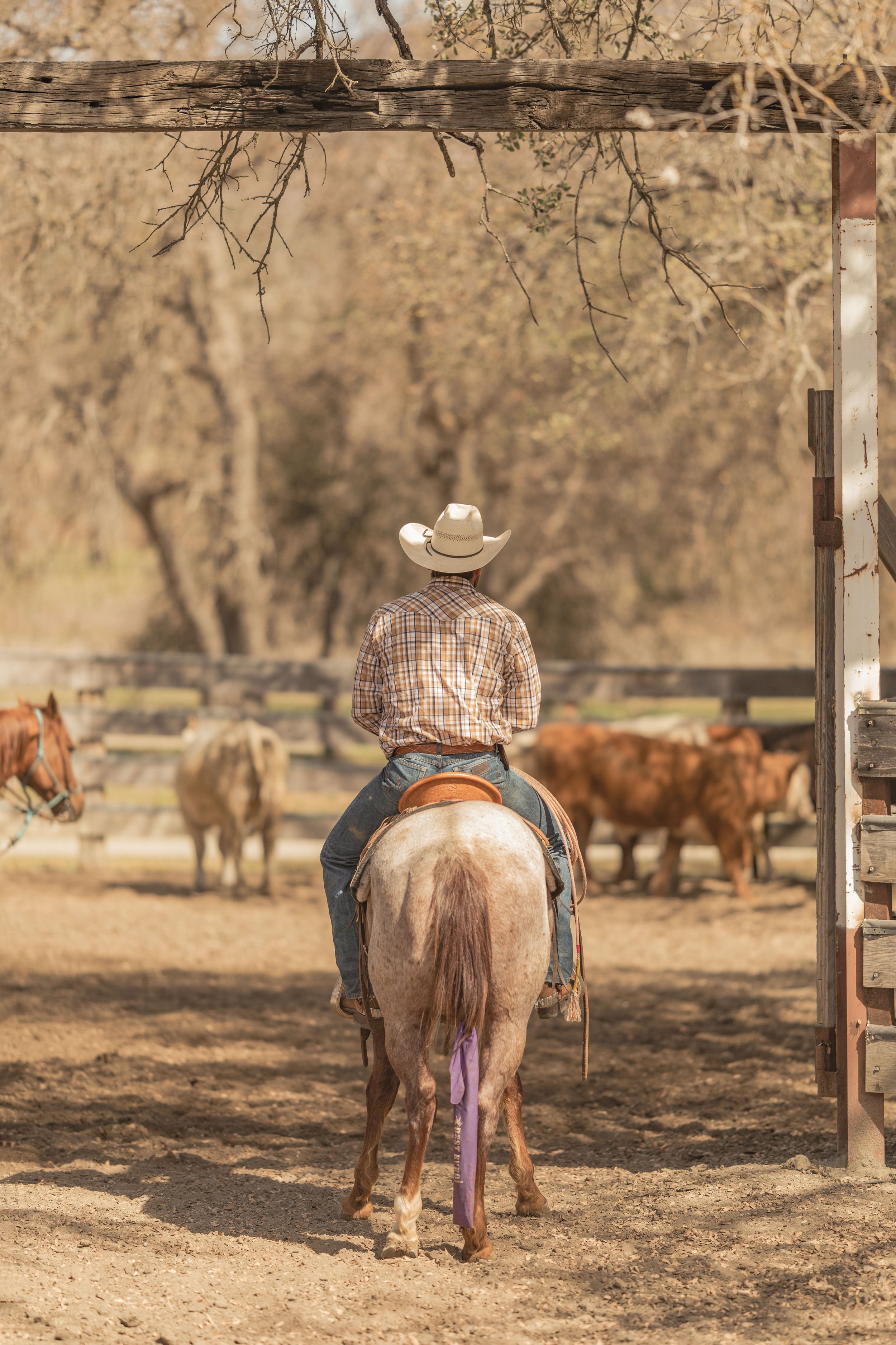 V6 Ranch Cowboy Academies — V6 Ranch