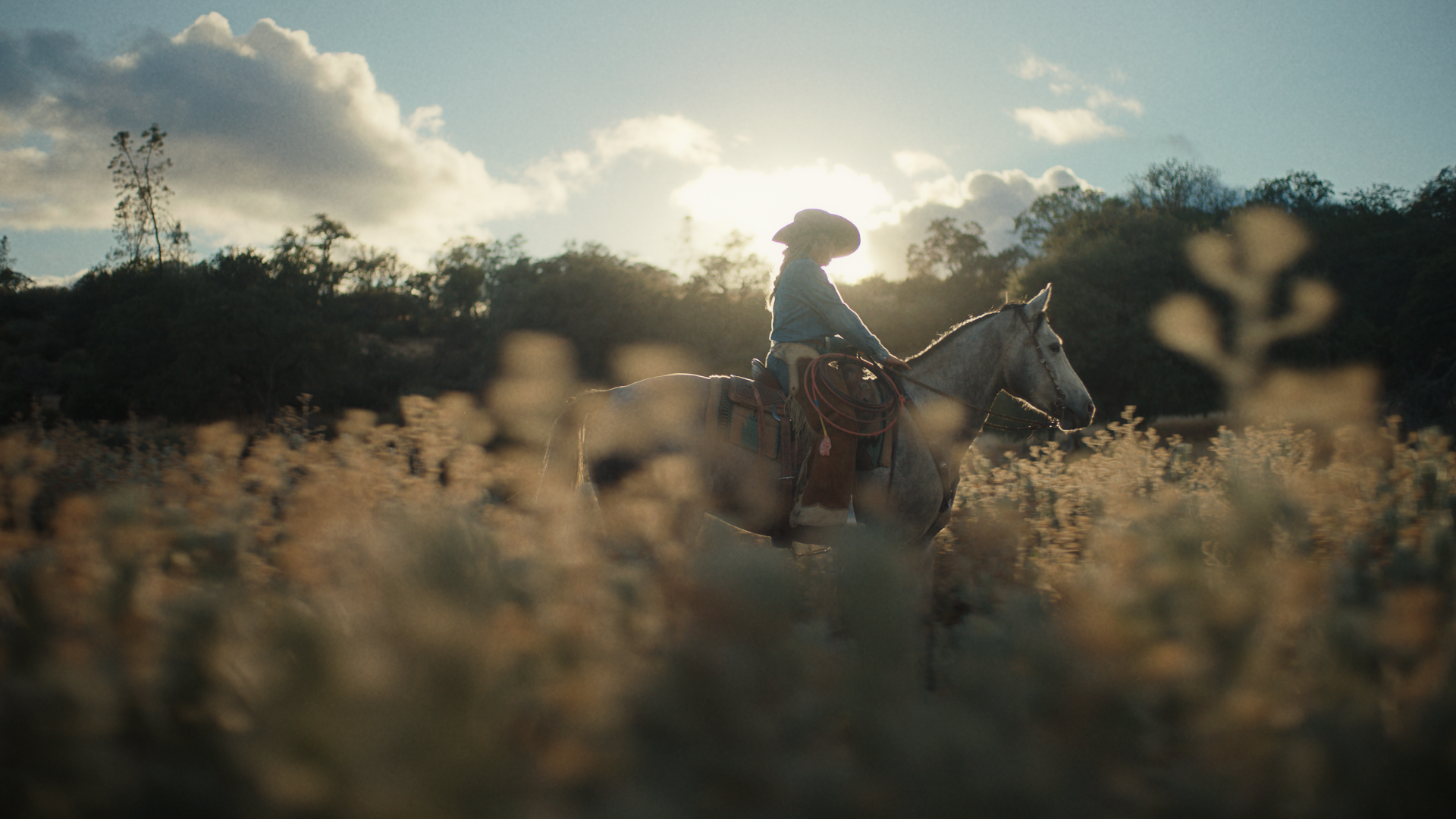 Which V6 Ranch Ride Is Right for You?