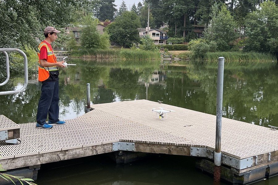 Freshwater Algae Blooms