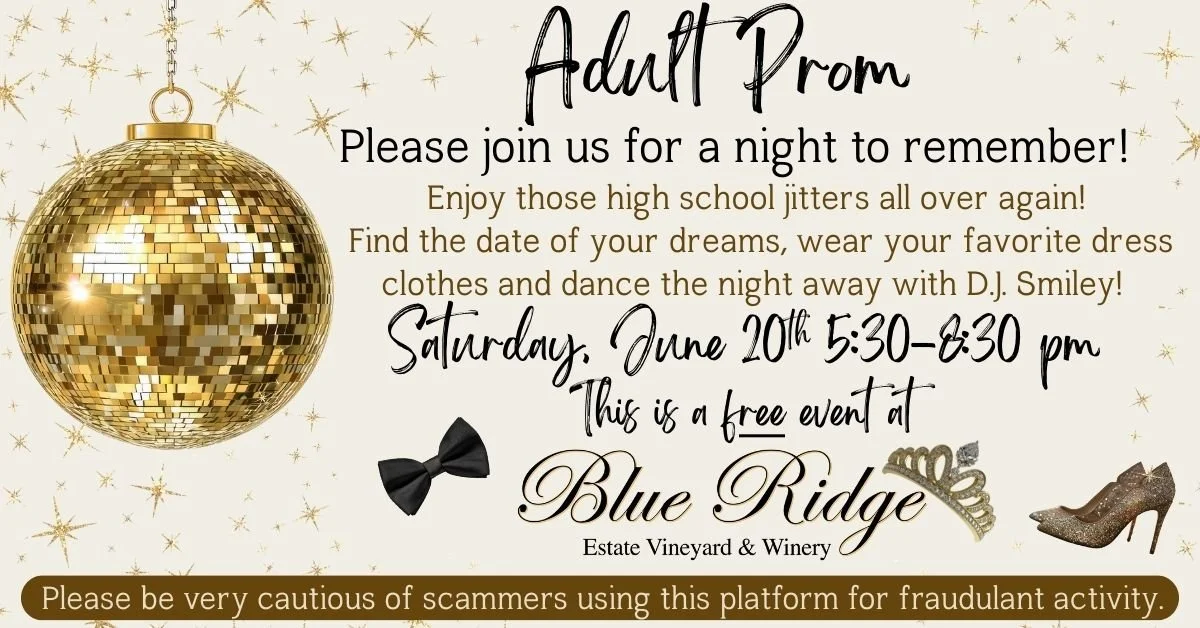 Adult Prom