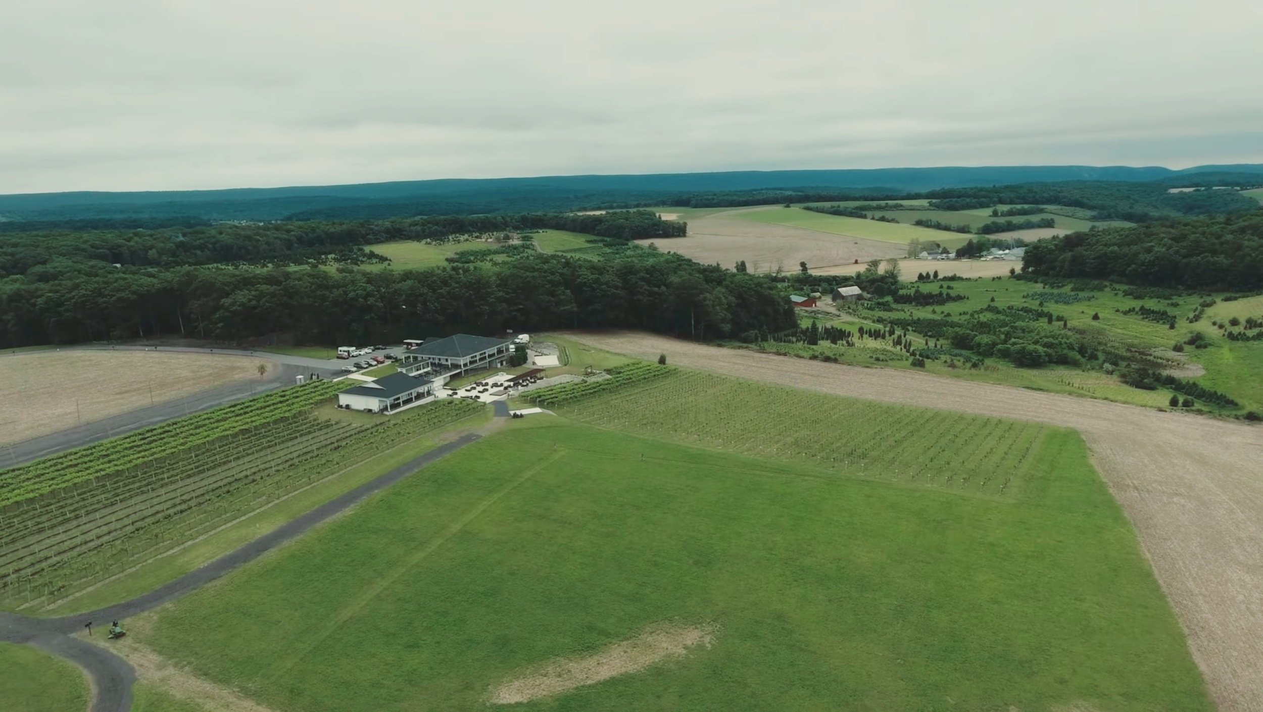 Host An Event Blue Ridge Estate Vineyard Winery host-an-event-blue-ridge-estate-vineyard-winery