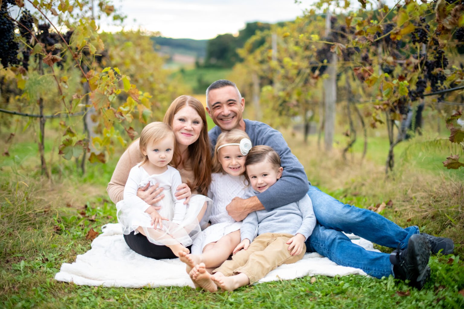 Blue Ridge Estate Our Story | Discover and Experience Today — Blue Ridge Estate Vineyard ...