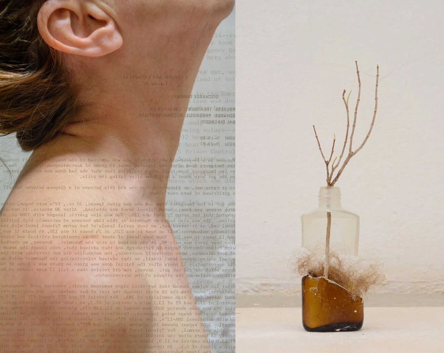 Vile, archival pigment print, 17x21.5 inches, 2024