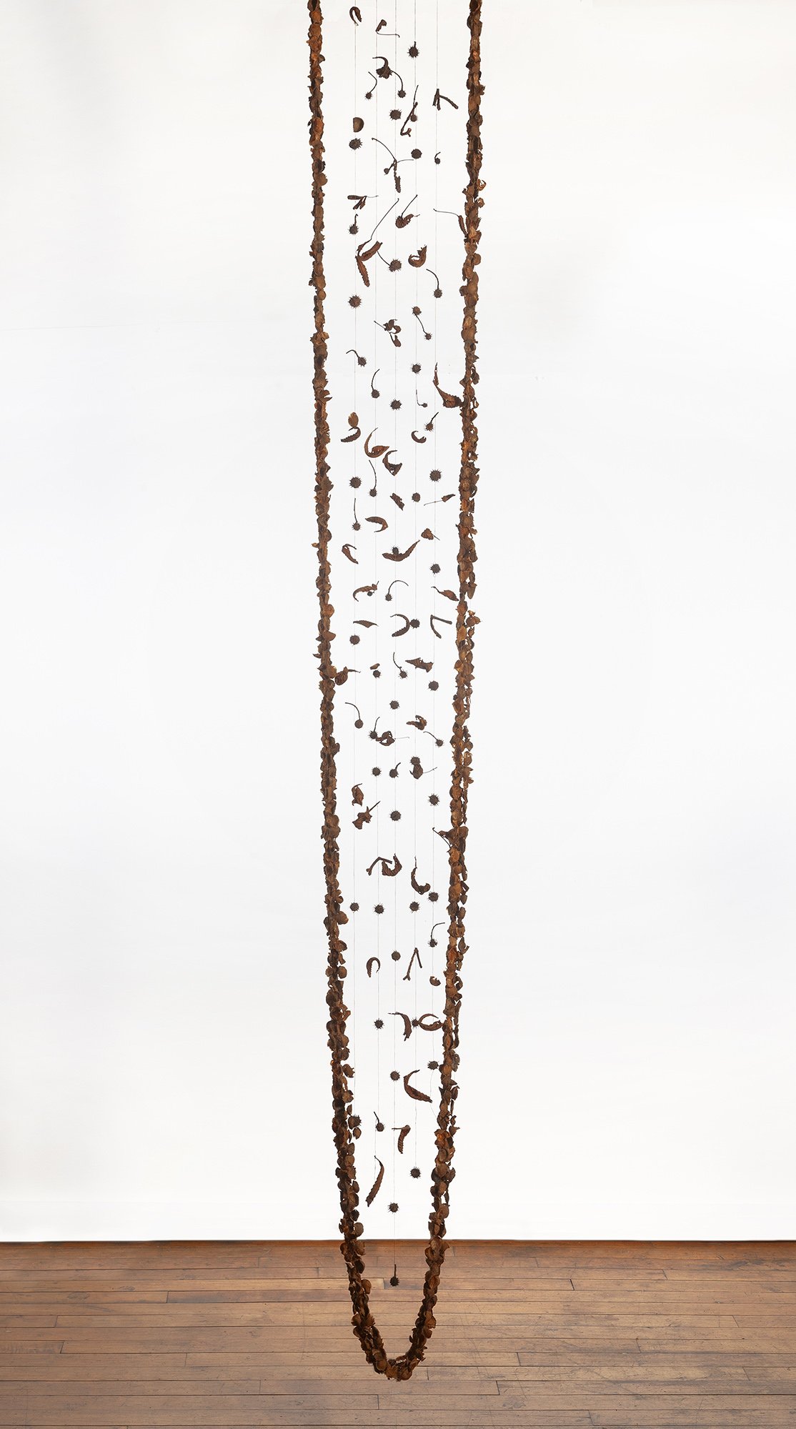 Gathering #13, Horse chestnut husk inner skins, twigs, leaves, husks & waxed linen thread, 108 x 12 x 6 inches, dimensions variable, 2025-2026
