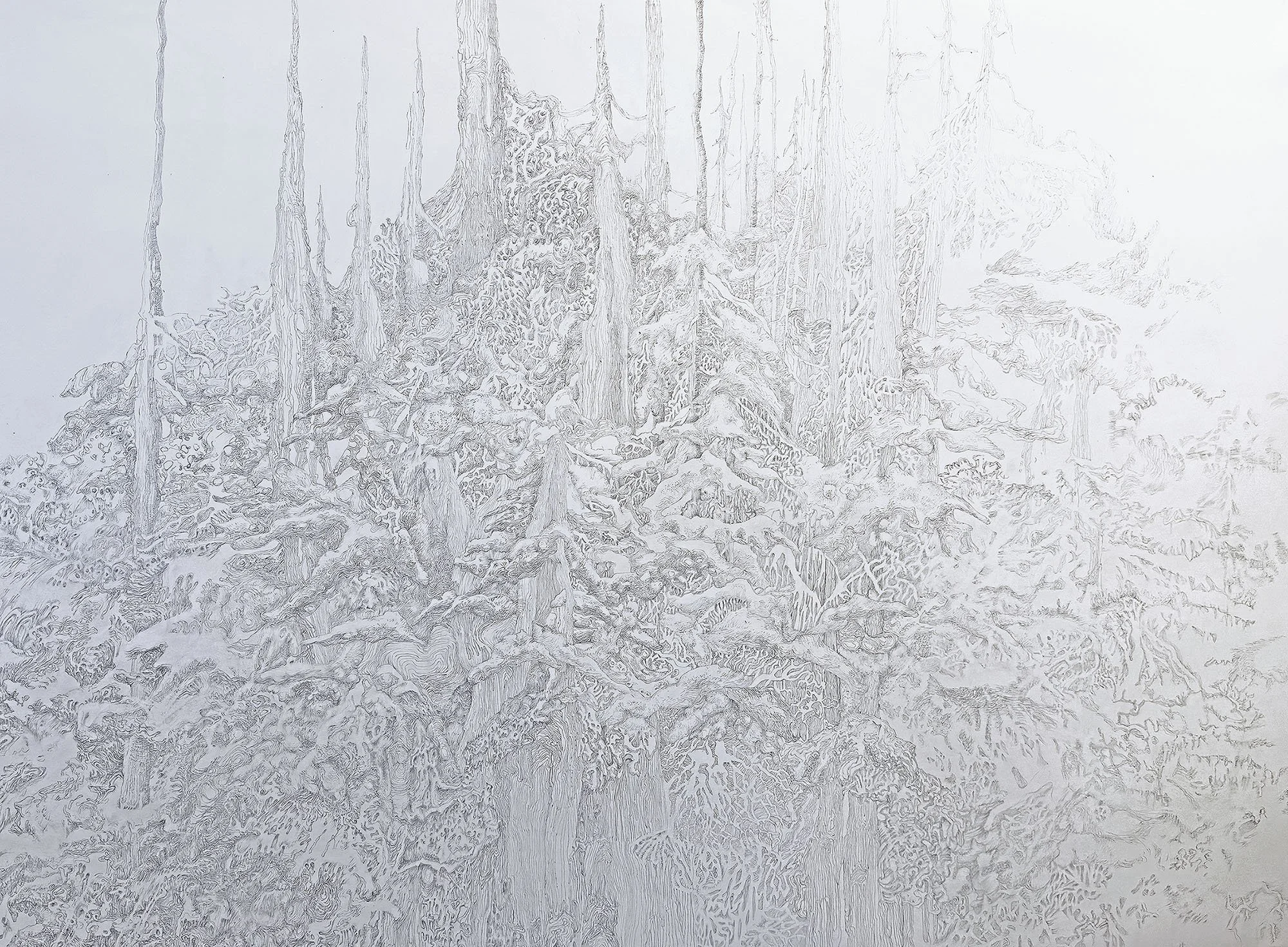 Mishuntugk, graphite on paper, 30 x 40 inches, 2022-2025