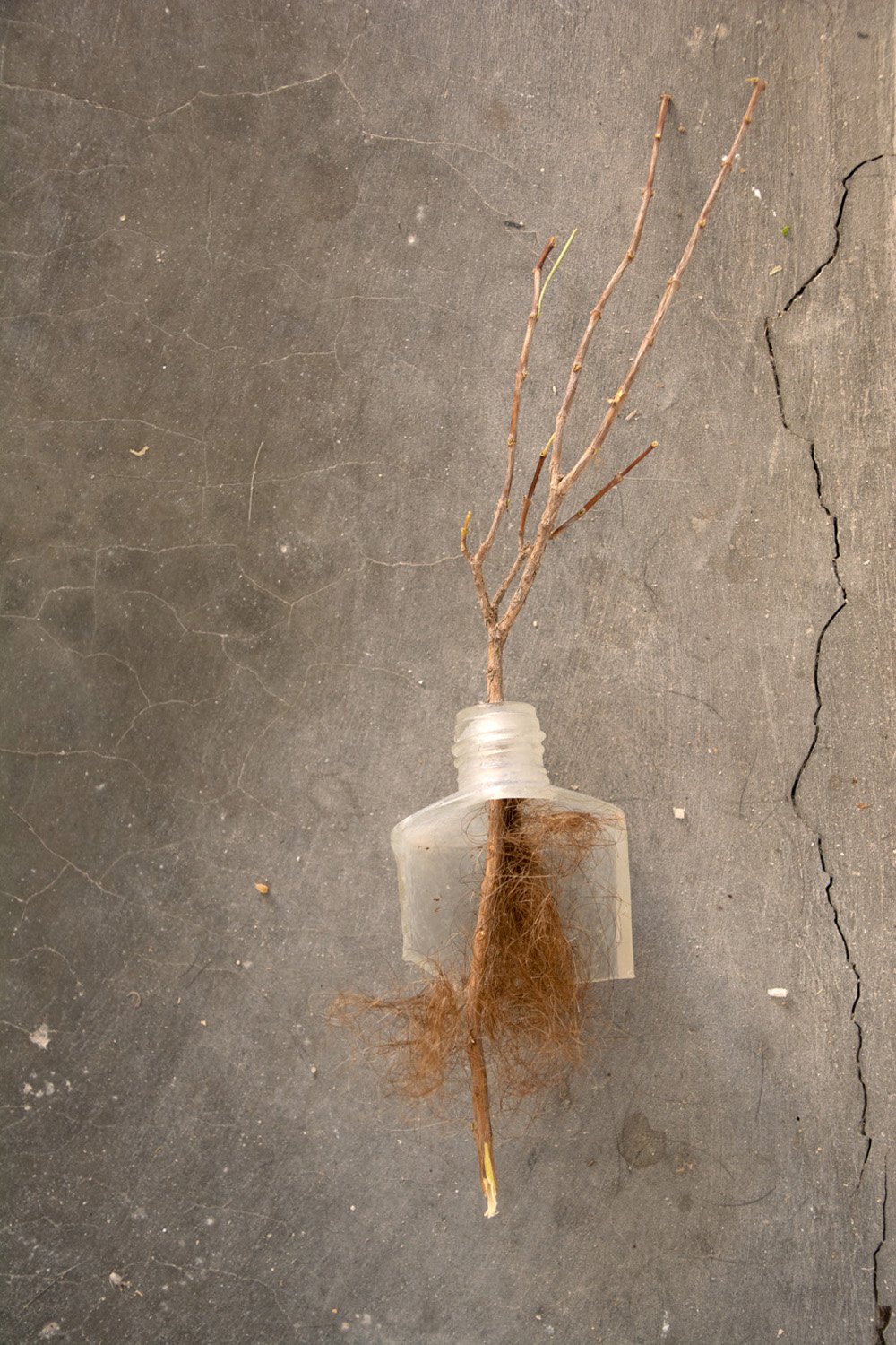 TheSecret, archival pigment print, 12x8 inches, 2023