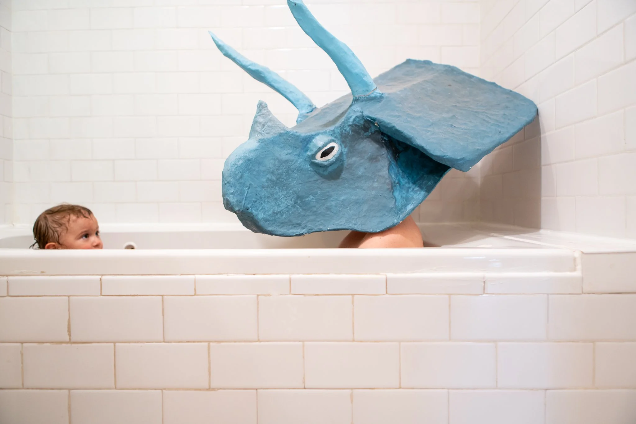 Rachel Garber Cole, Questions for a Dinosaur Family Photos, In the Bath #835
