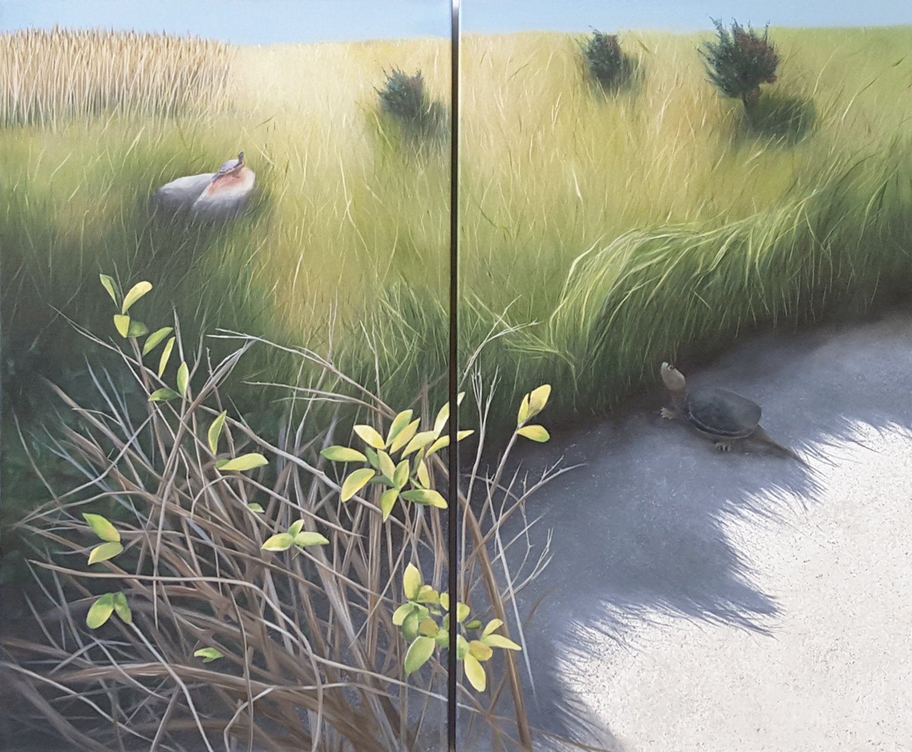 Joan Baldwin, "Turtle Amore", 40x48, oil on canvas, 2016 