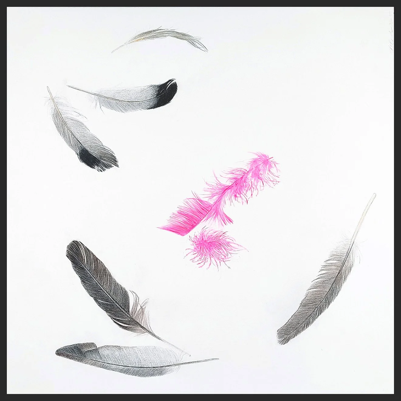 Linda Bond, Provincetown Feathers, Hot Pink, 15 x 15 inches