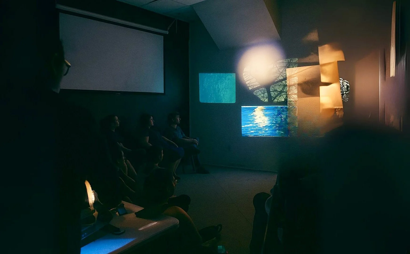 Blue Bird - 18 min, MFA Thesis, 16mm film Multi-projector Performance, 2024
