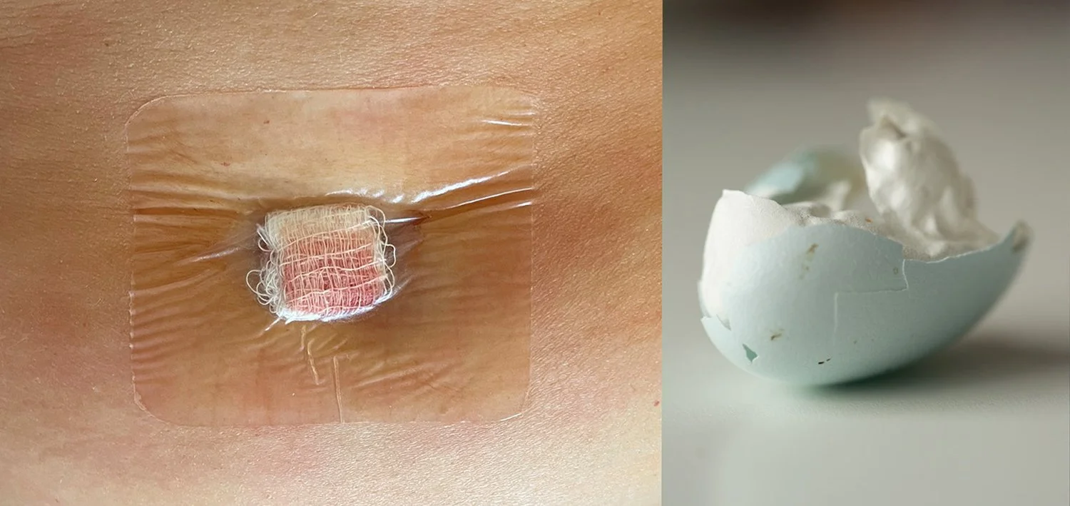 NoMore, archival pigment print, 13x29 inches, 2024